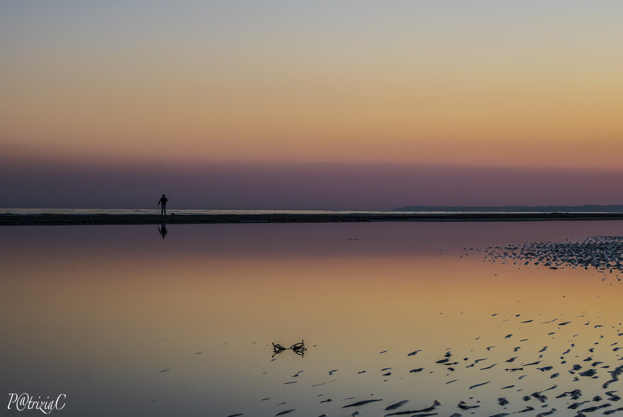 ... delicate cromie ...