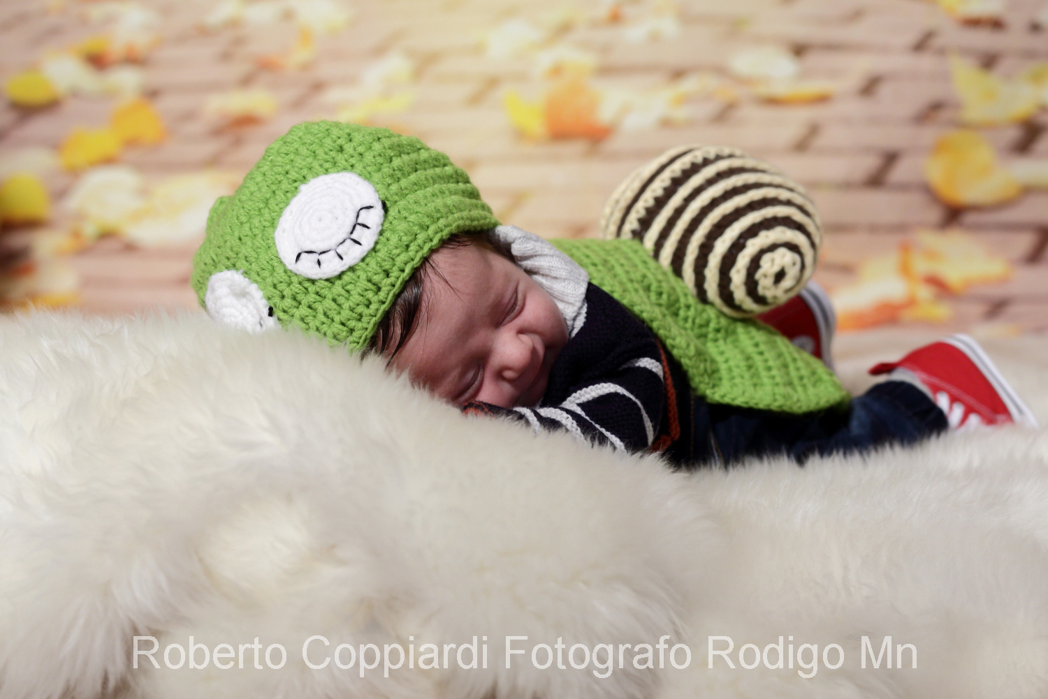 a studio portrait n 1