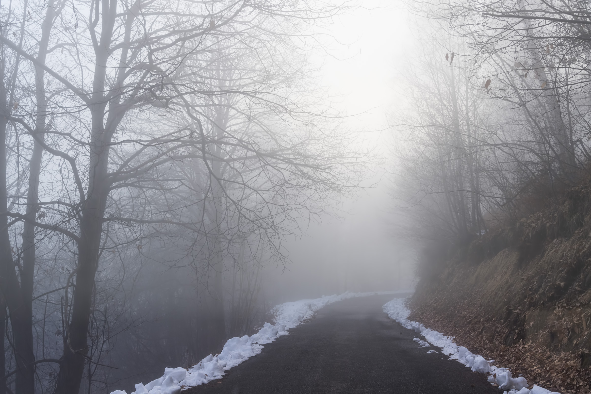 Under the clouds and immersed in the fog