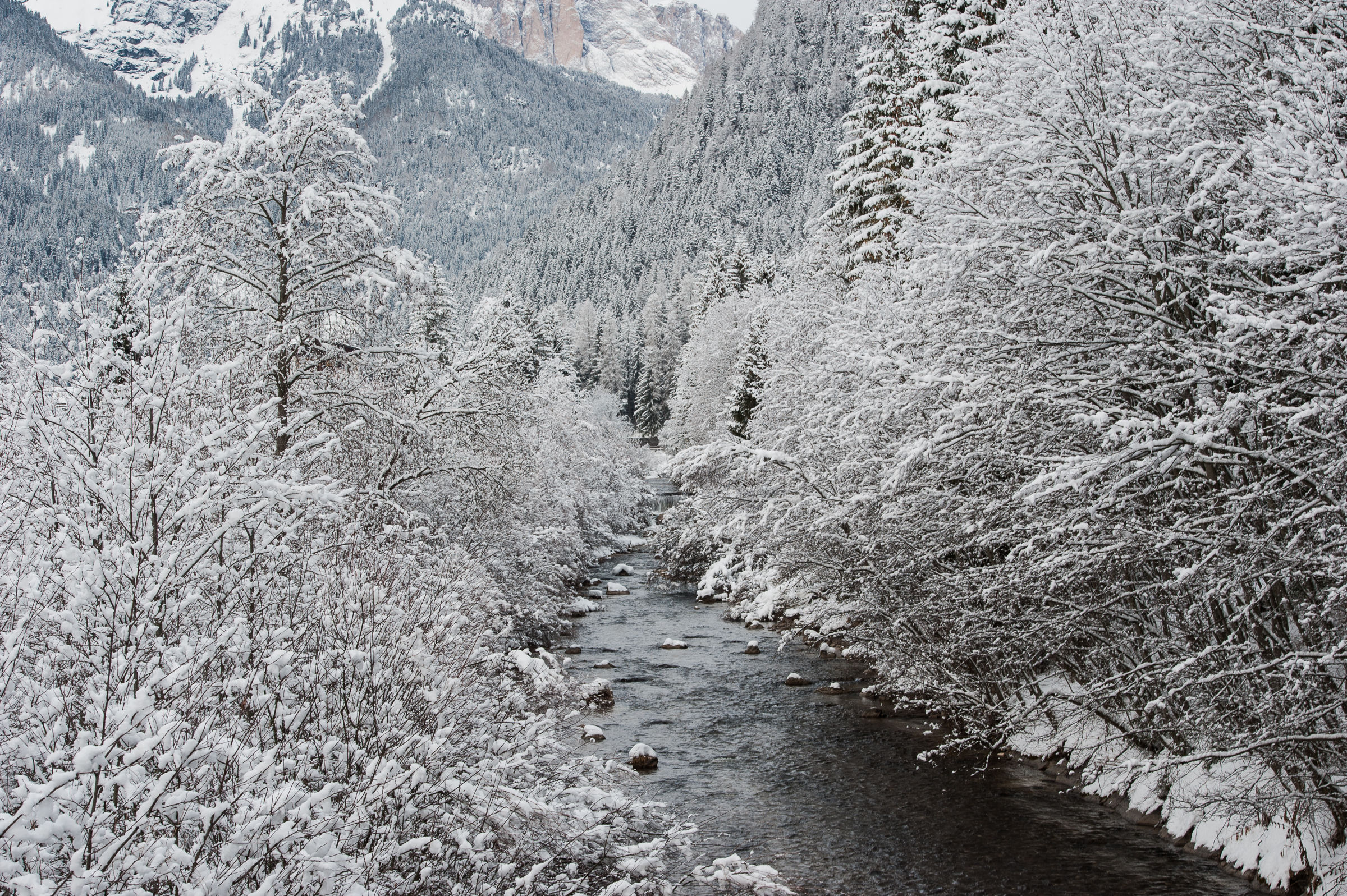 Immersi tra il candore della Neve