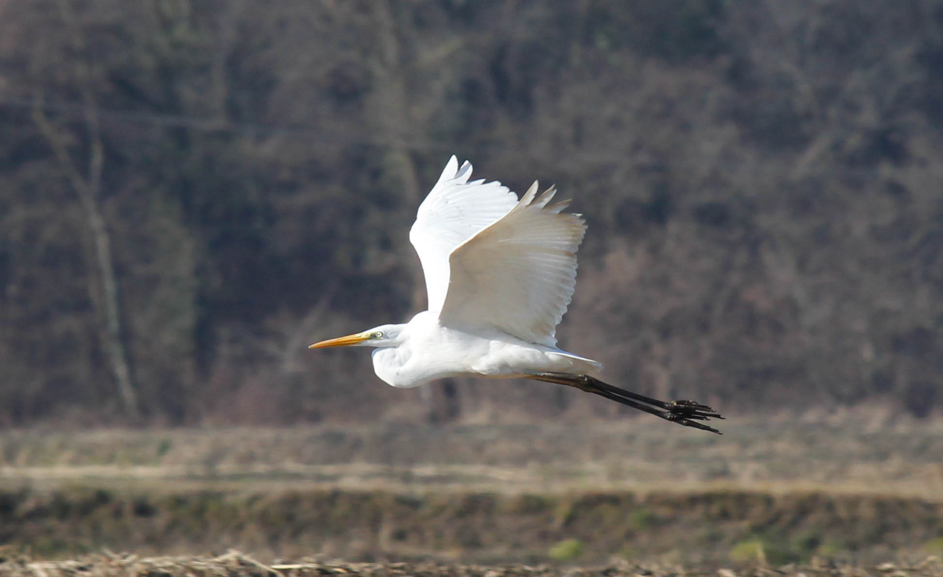 Planing over the countryside