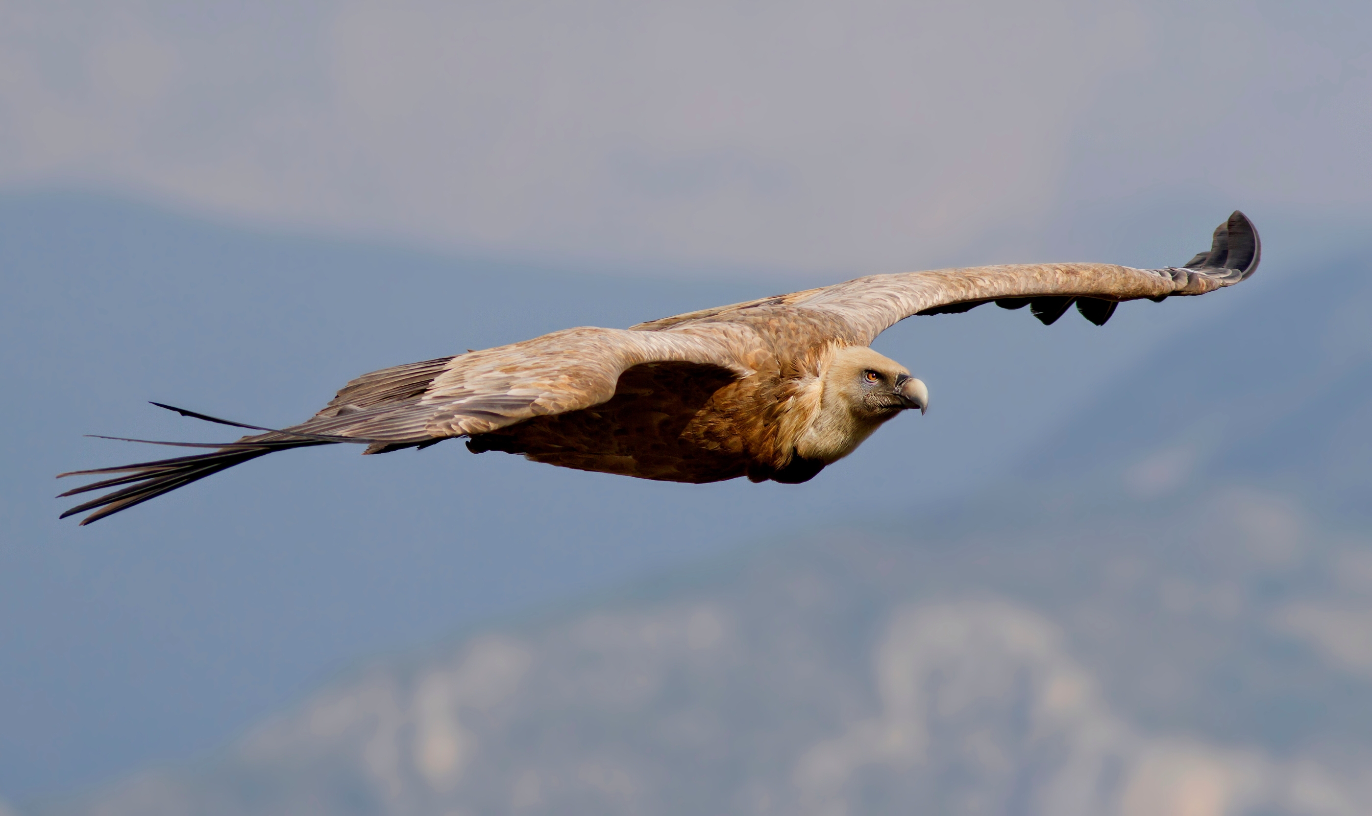 Gorges Du Verdon:Lo Sguardo