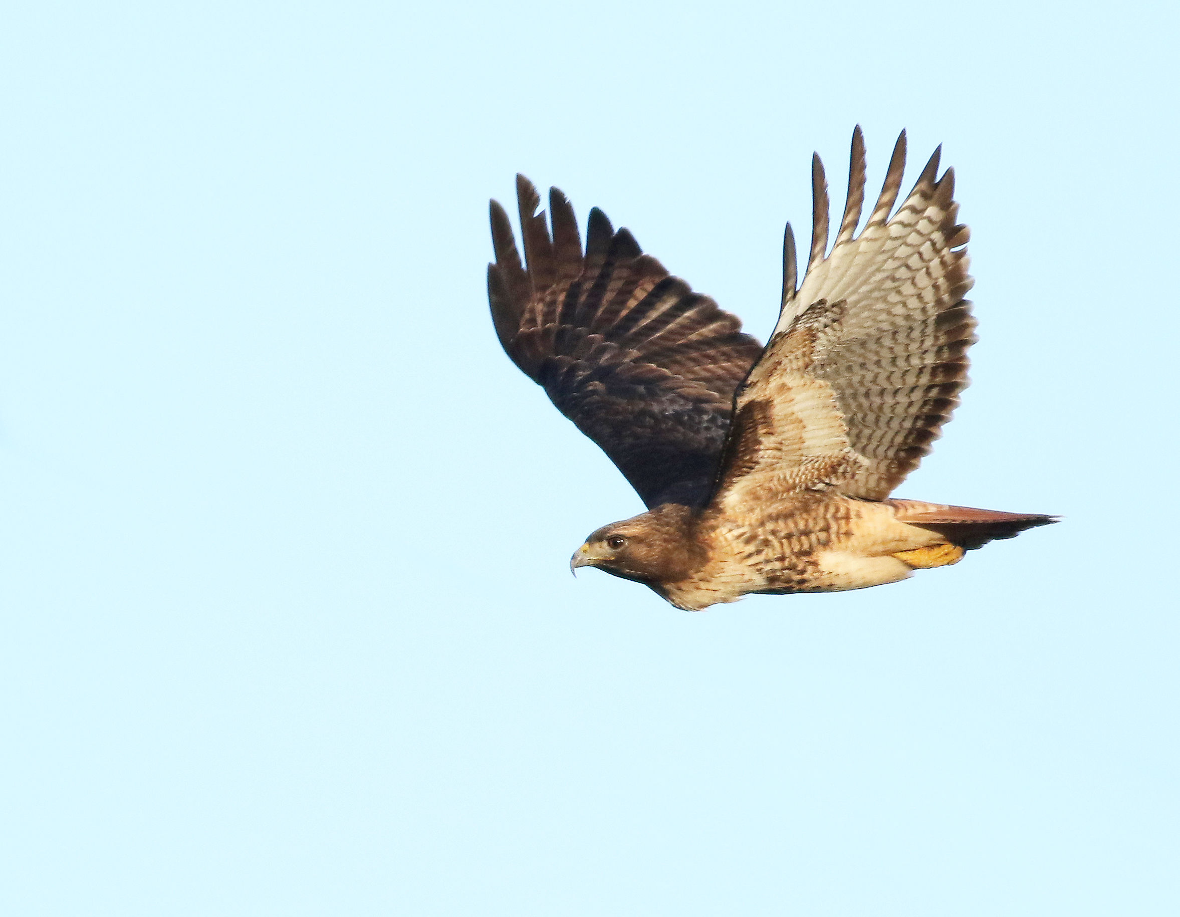 Carrello di atterraggio in posizione verticale