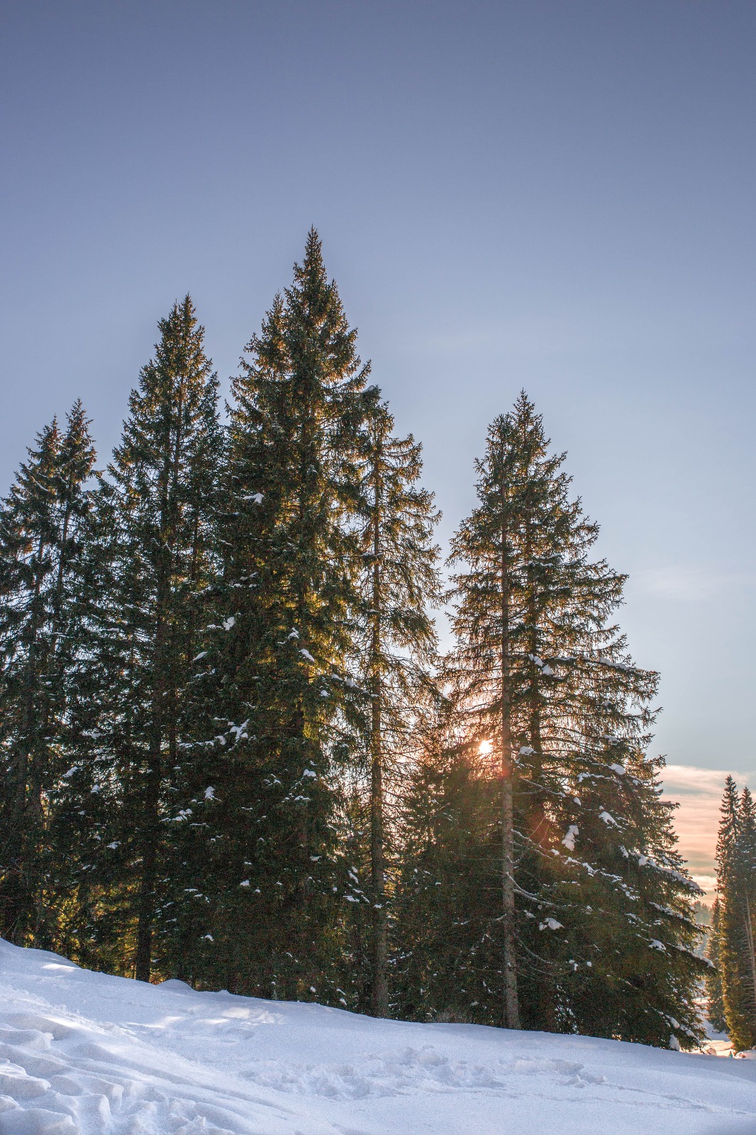 Last rays before sunset