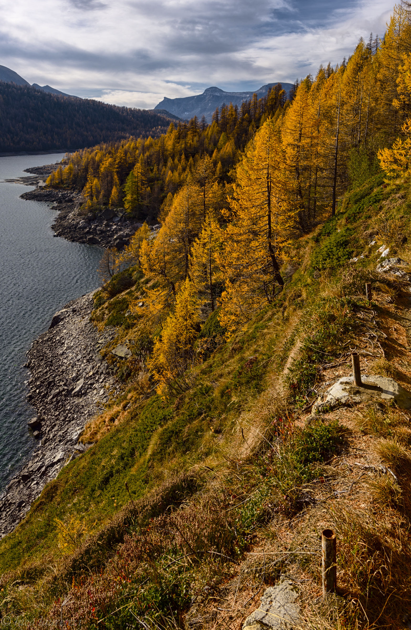 A bank of the Devero