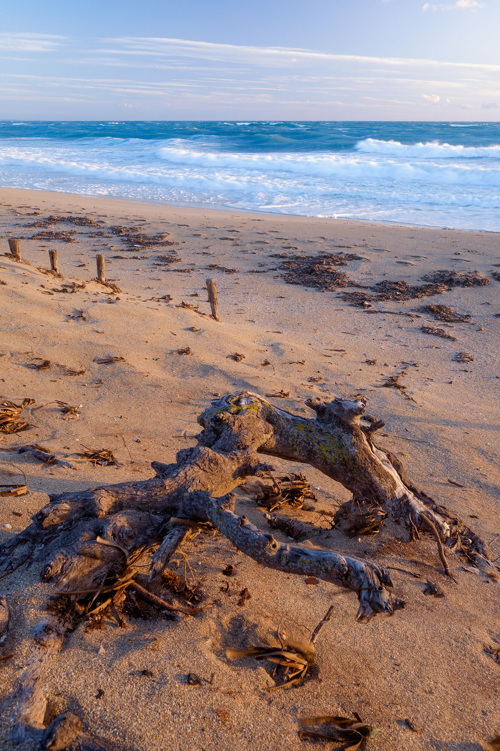 Wind, water and salt