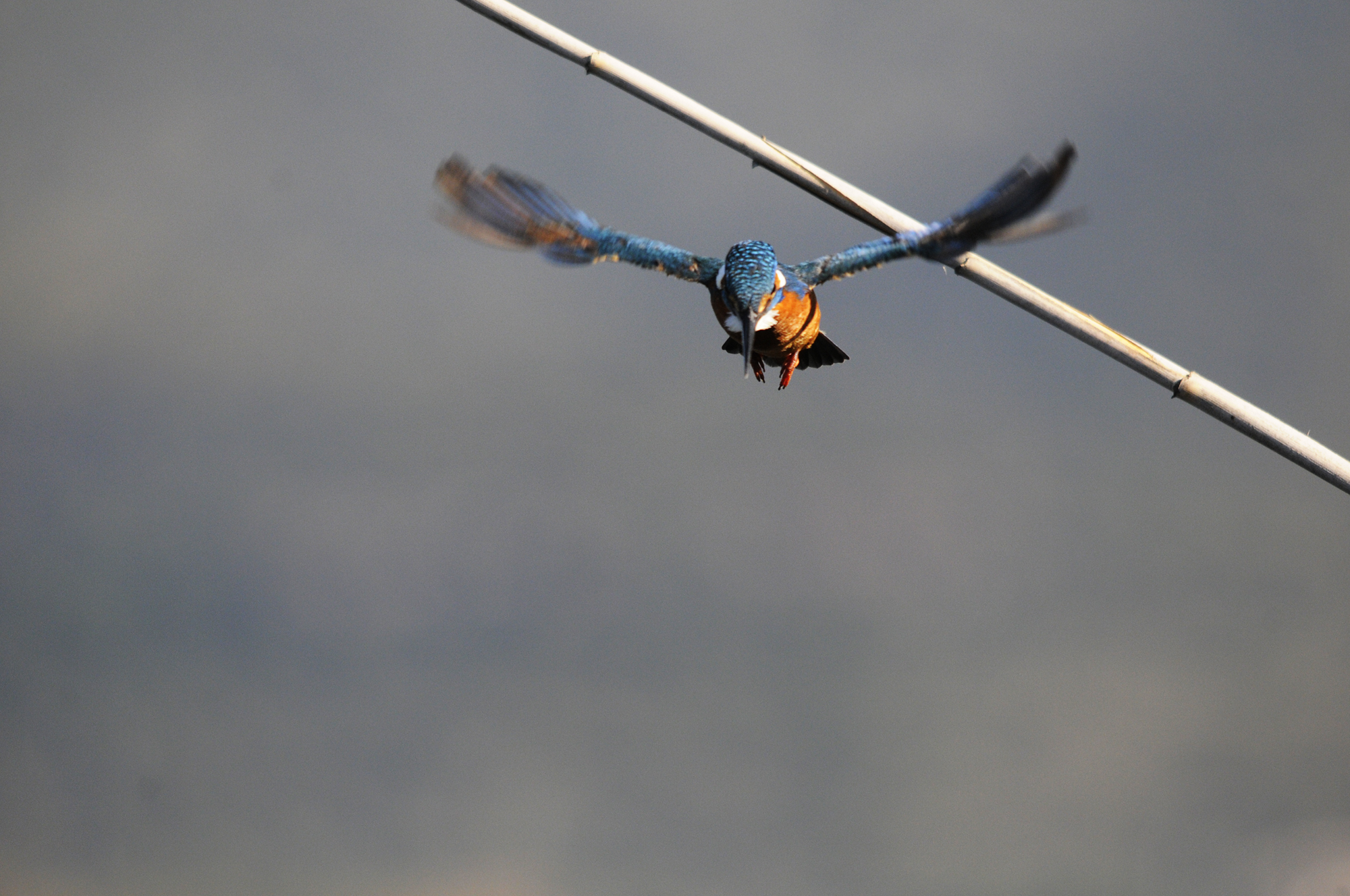 vado ma non  so dove vado