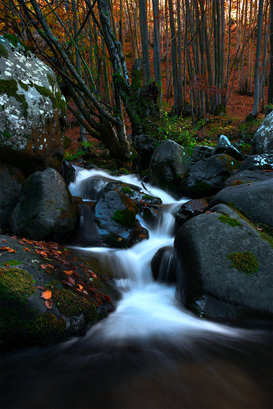 Along the Dardagna ..