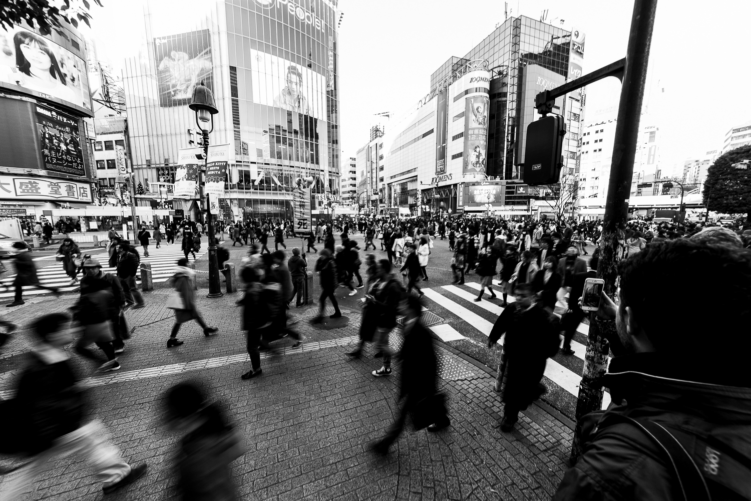 mass movement - Shibuya crossing