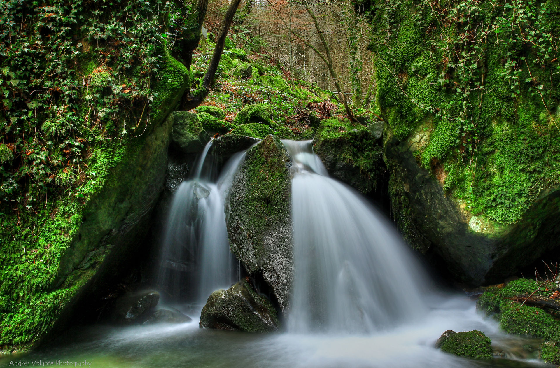 Giochi d'acqua nel cuore della foresta di Vallombrosa.