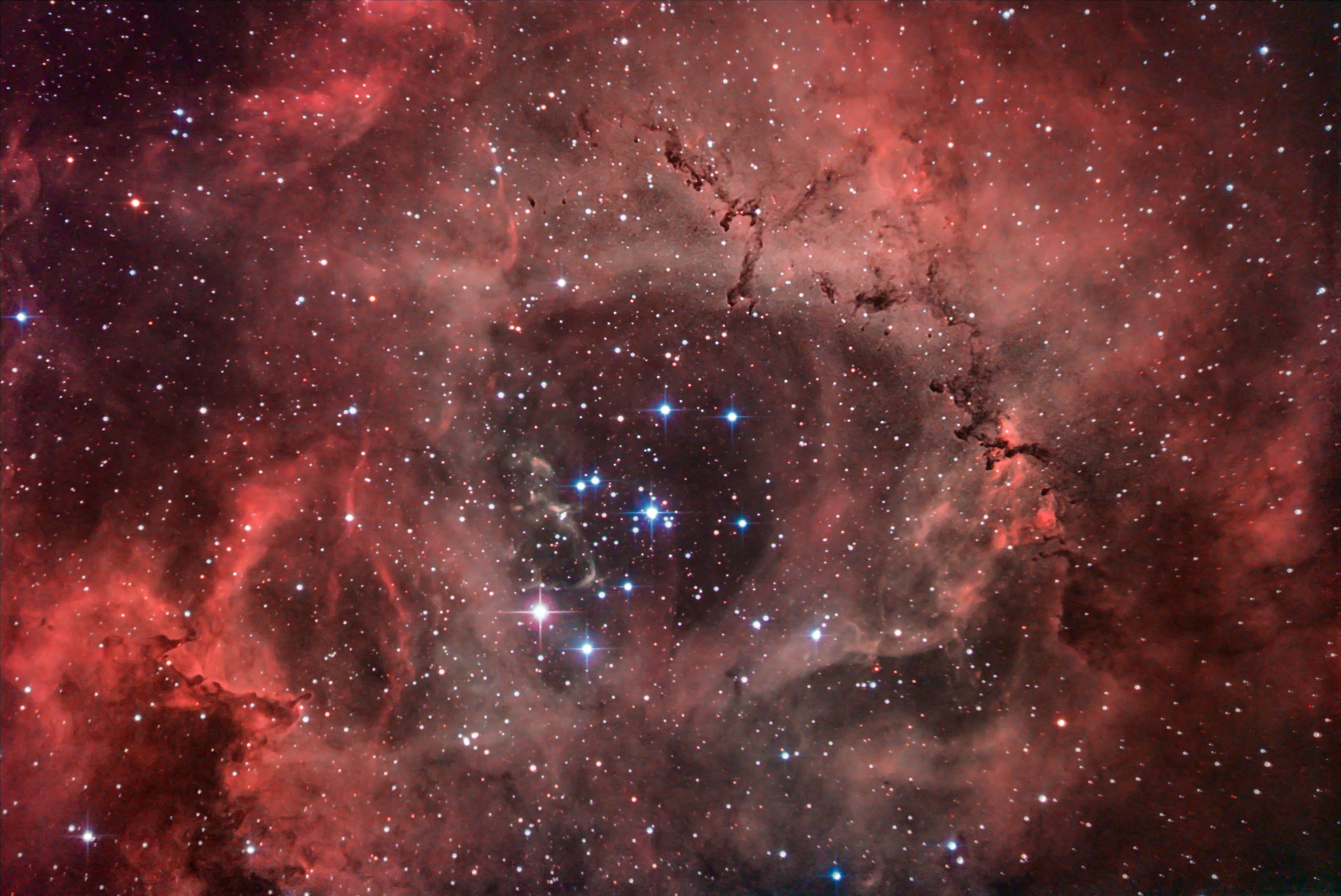 Rosette Nebula