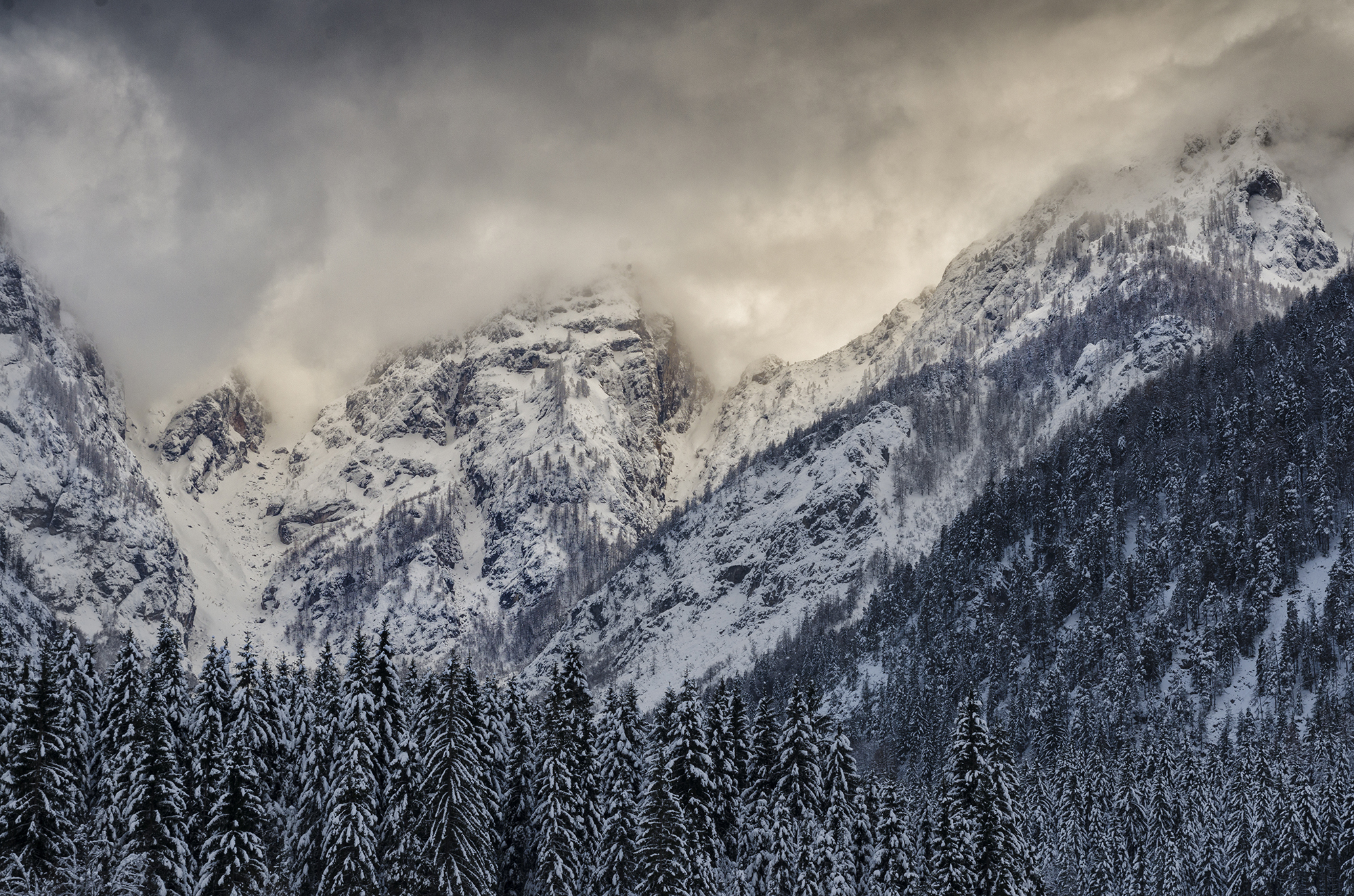 "Wrapped in the cold"