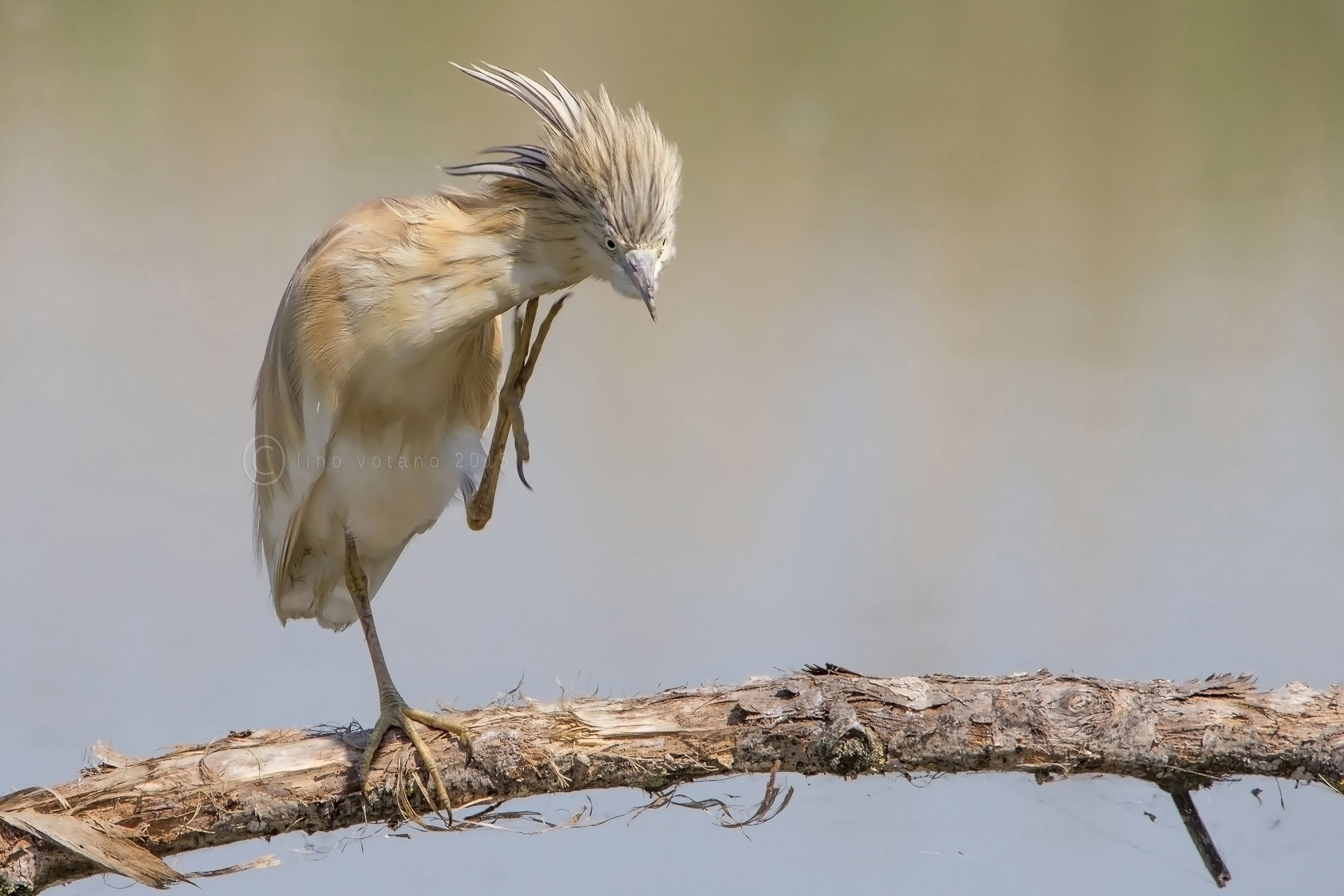 Well ... let's give it a scratch.