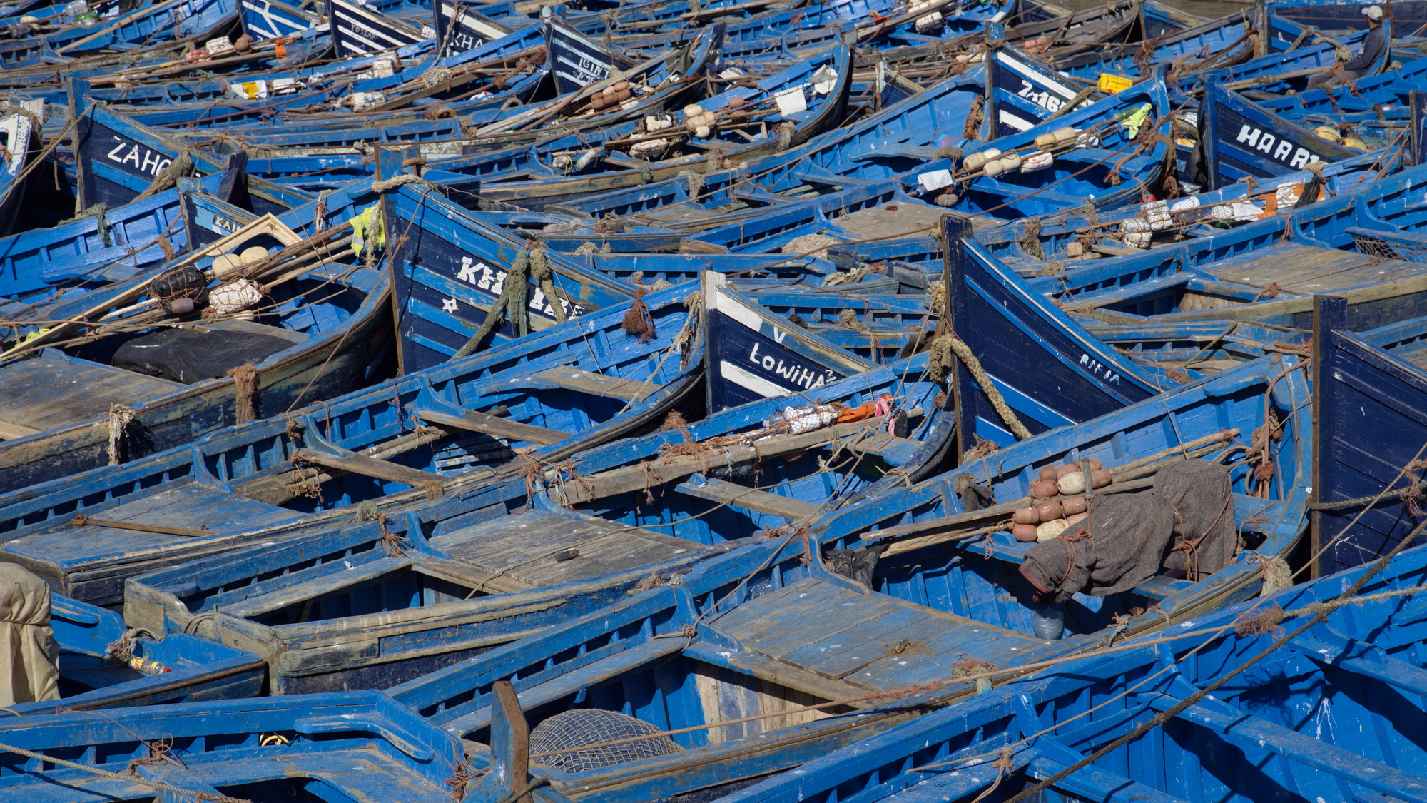 Flotta di pesca ad Essaouira