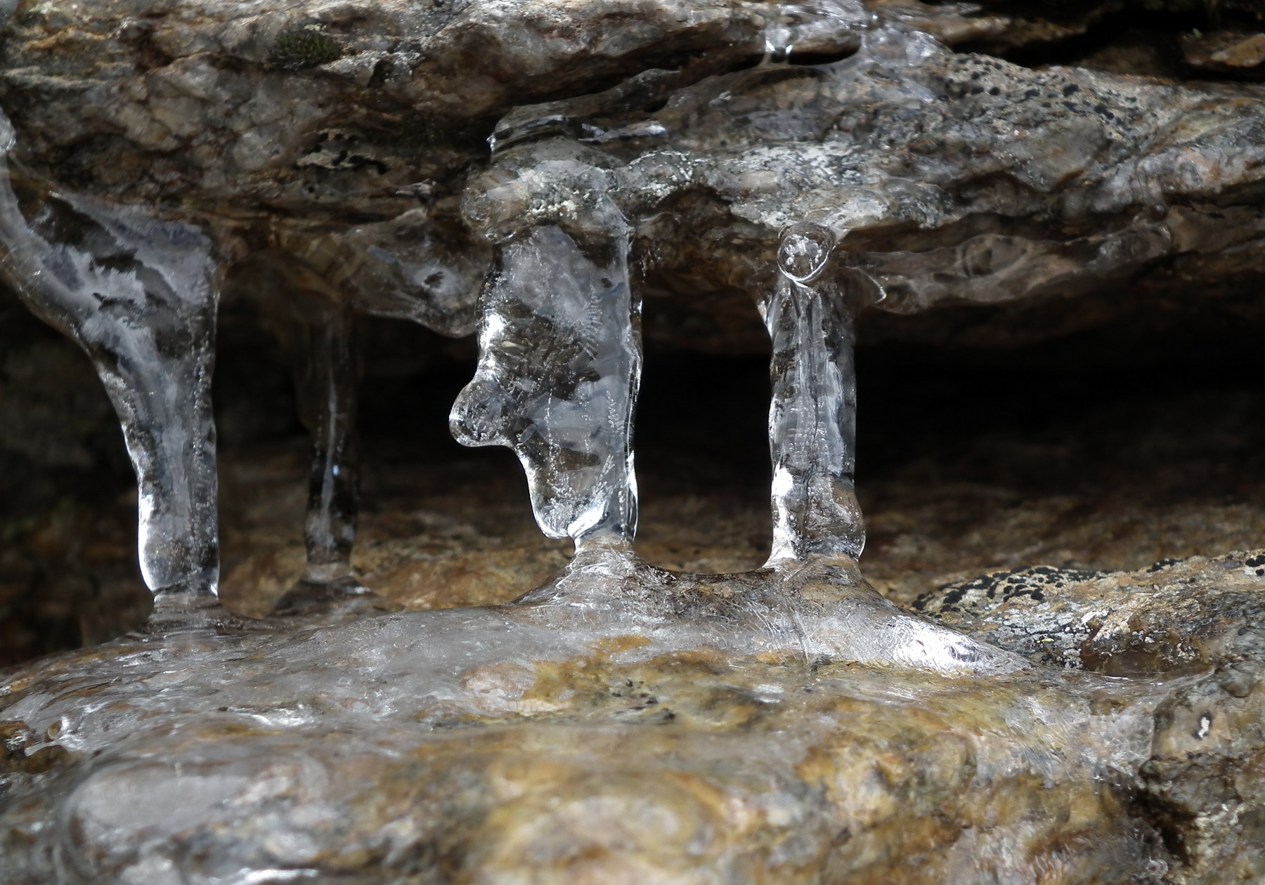 The face of the cold (Nivole area)