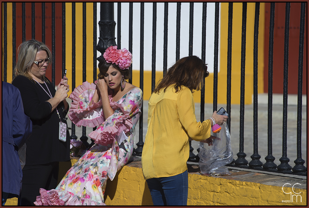 The beautiful figheira !!! - Seville