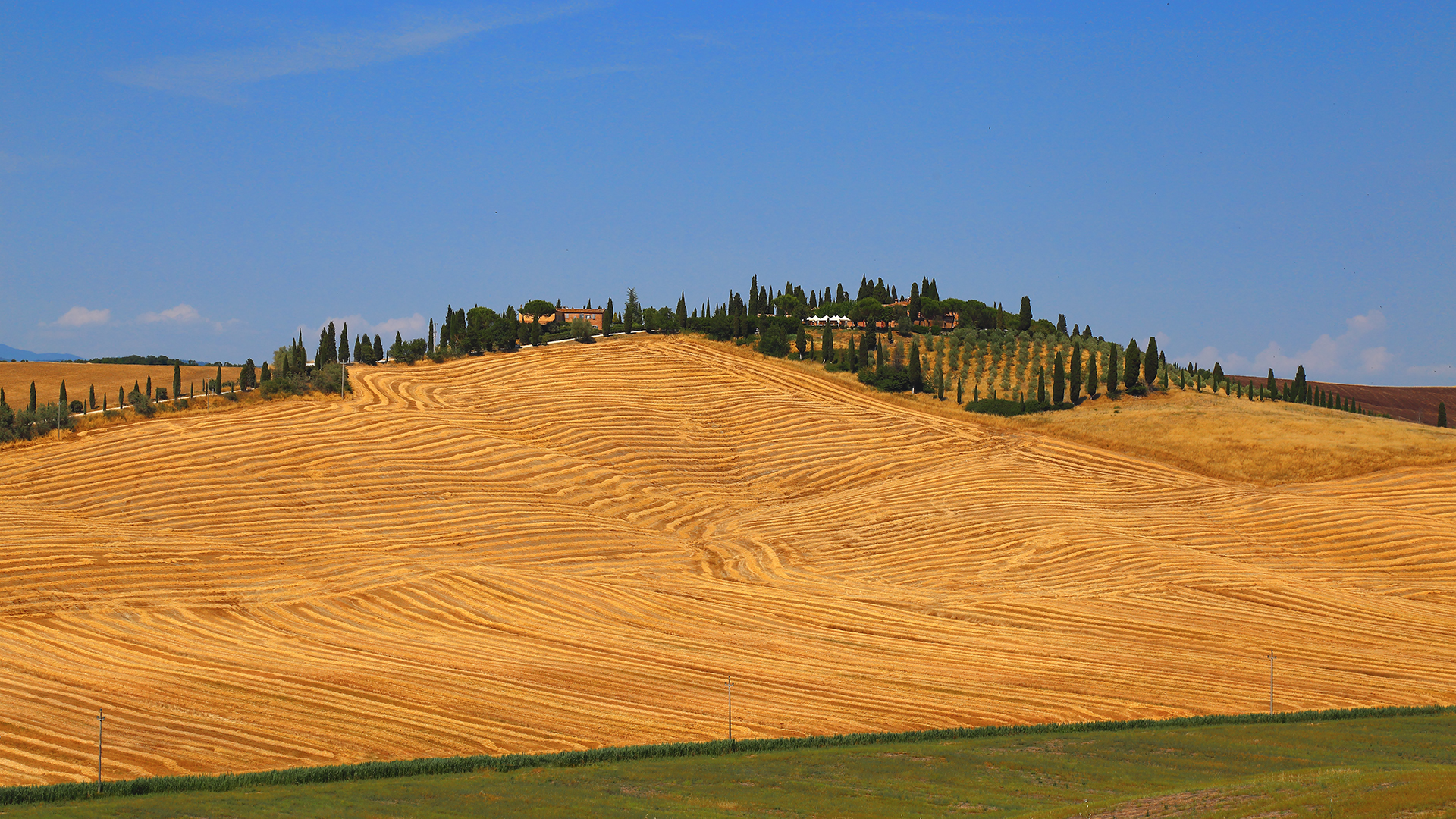 Linee toscane