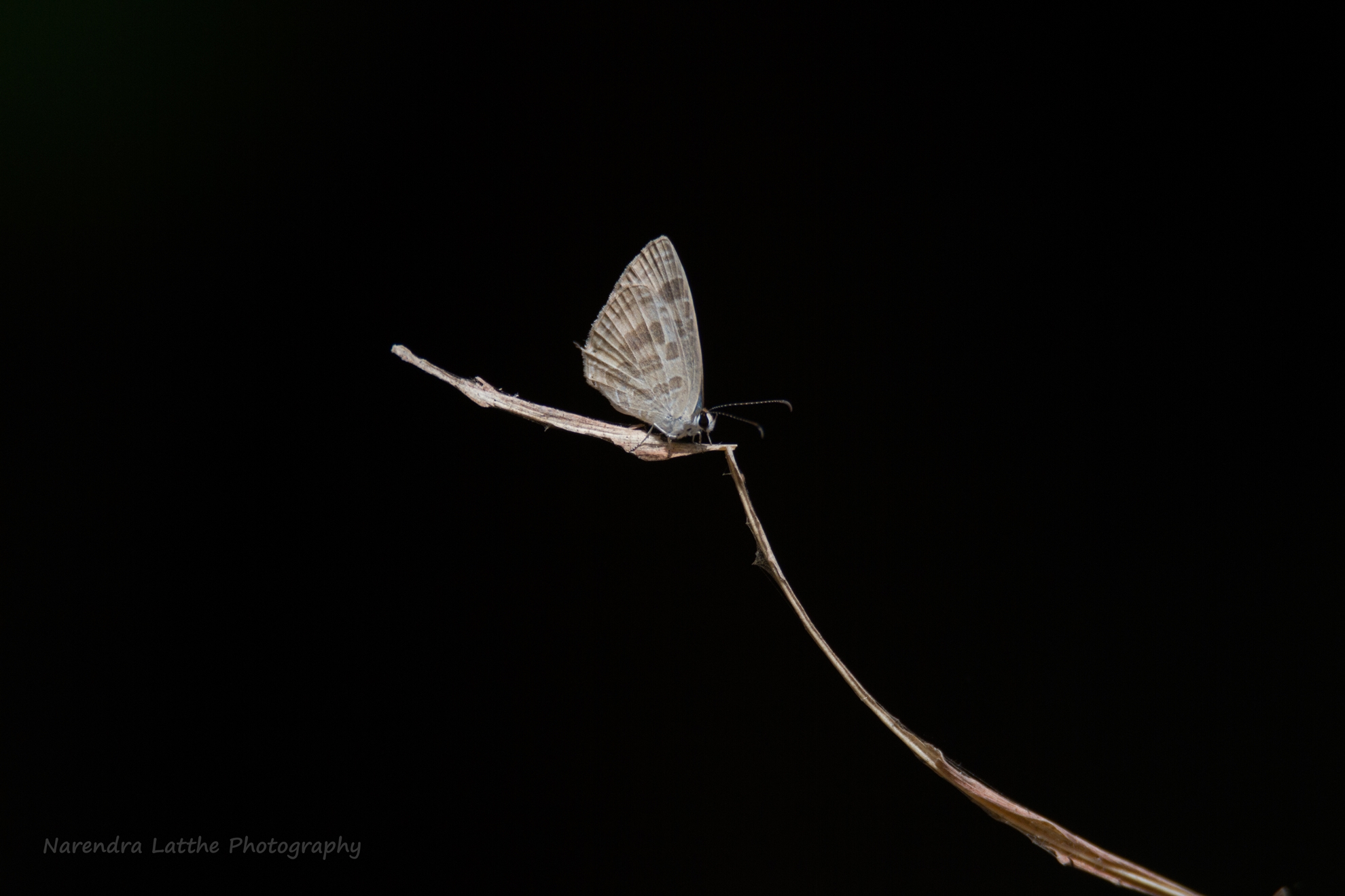 fotografia non elaborata