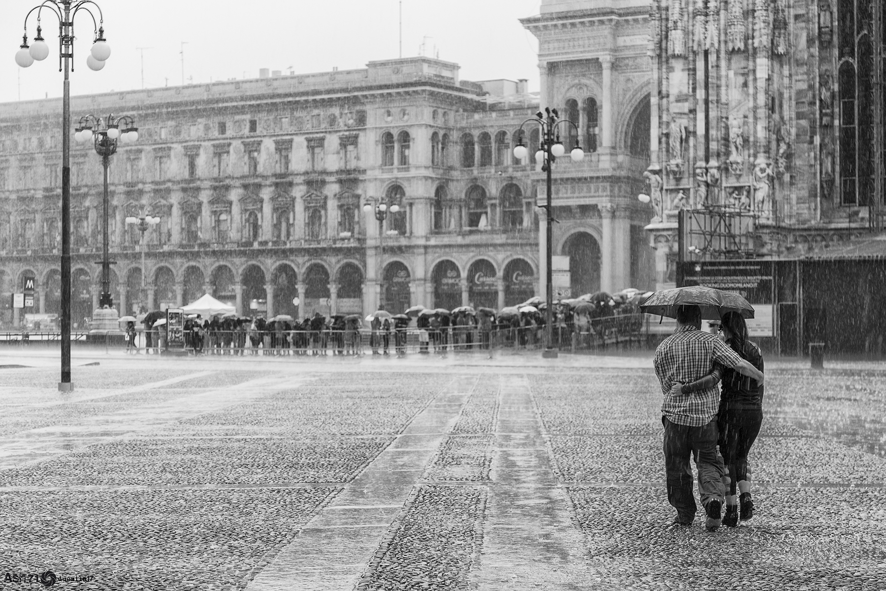 he loved .. there's a tail ... and it's raining ...