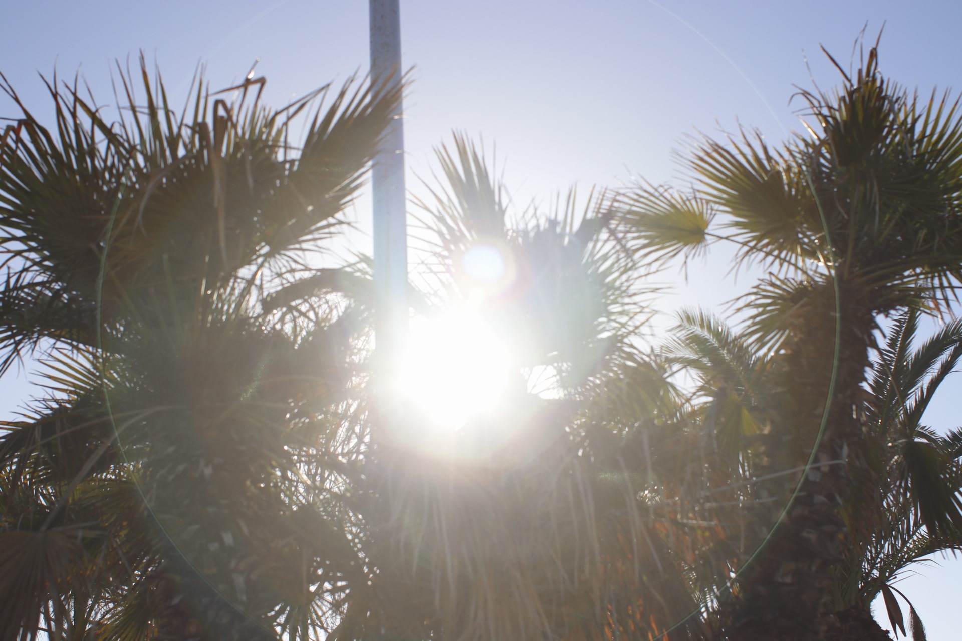 Try vivitar 28mm f2.0