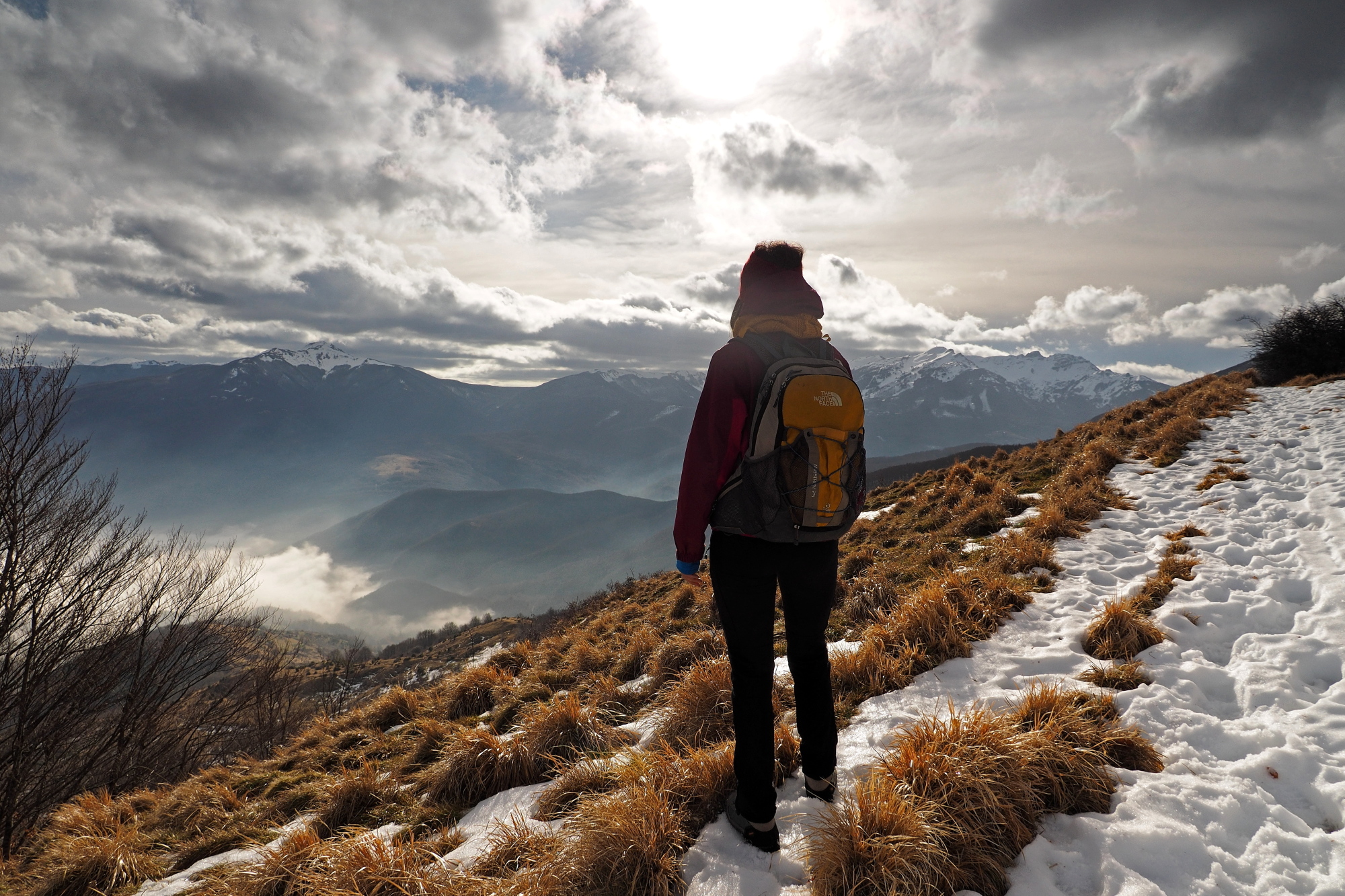 What a show! True Michi