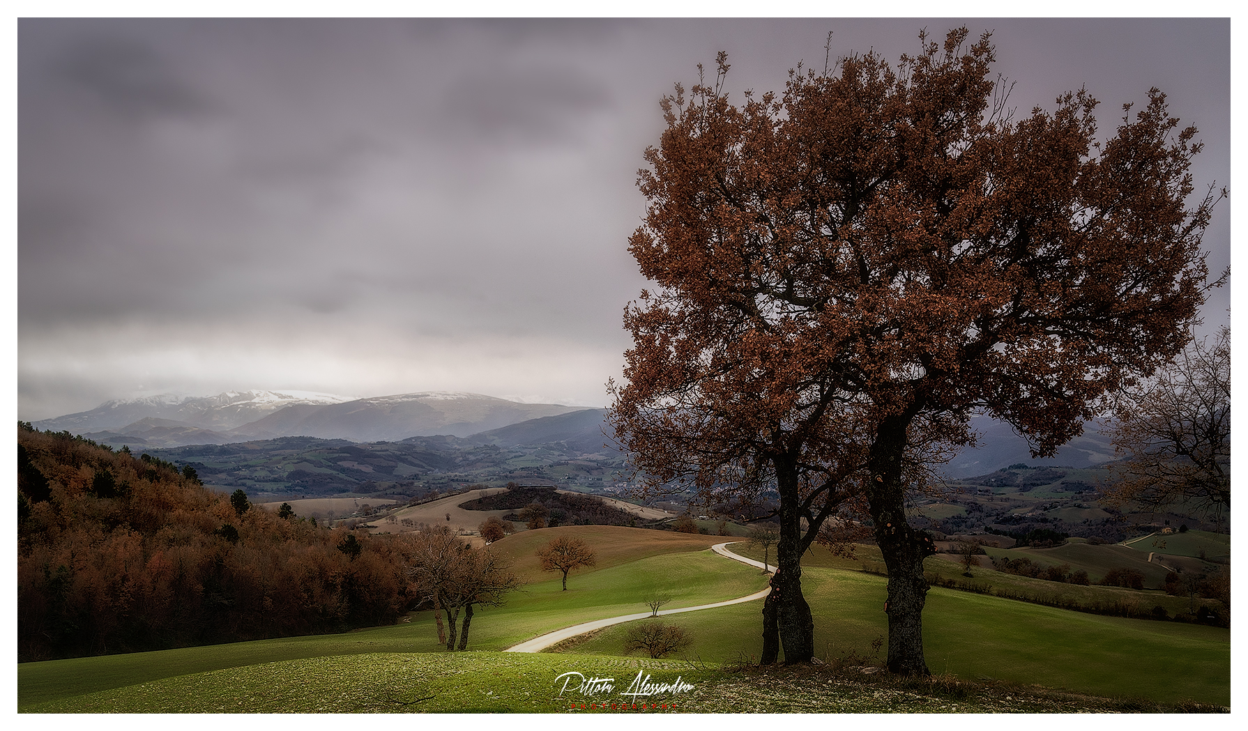 Marchigiana countryside