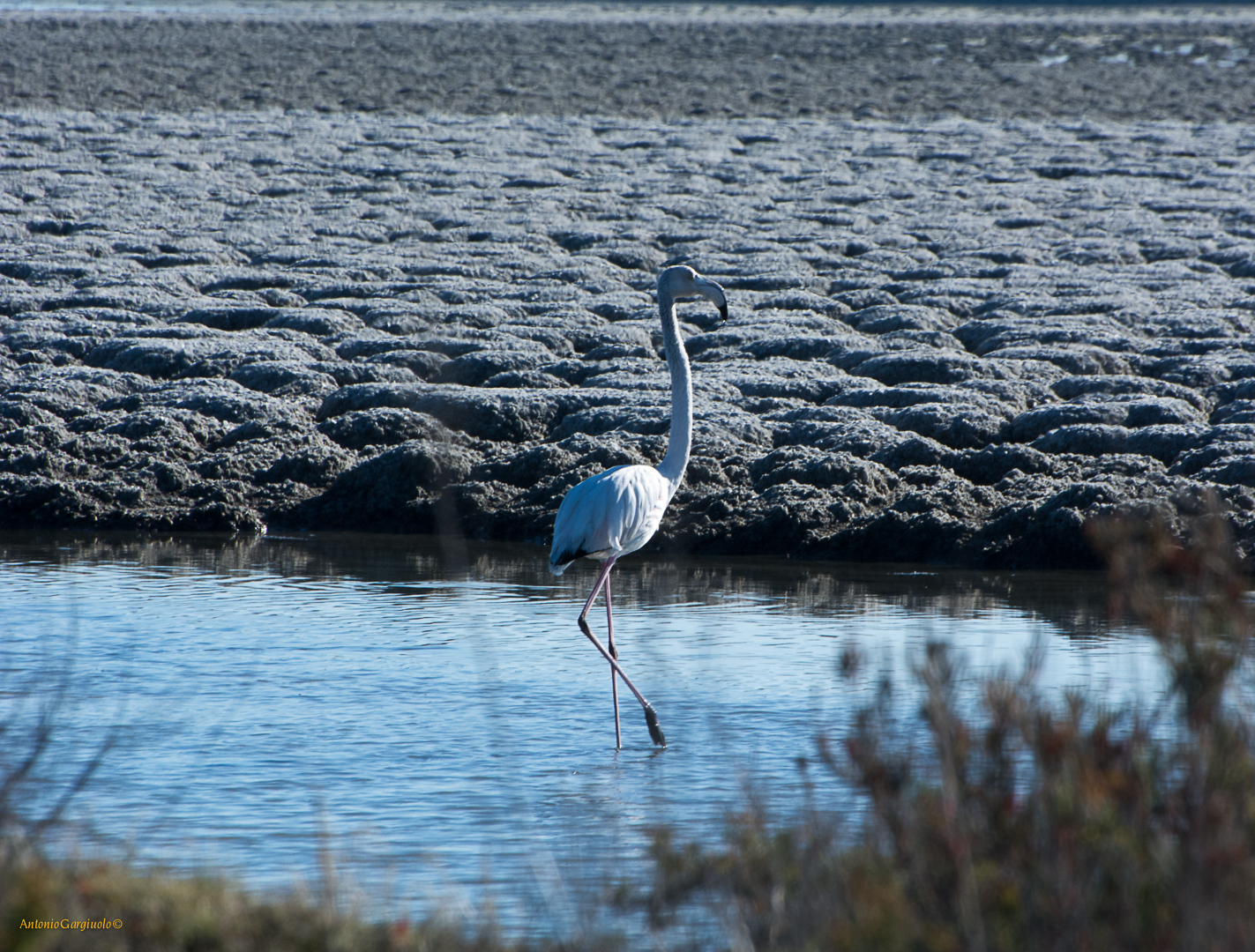 Sunset on the salt flats