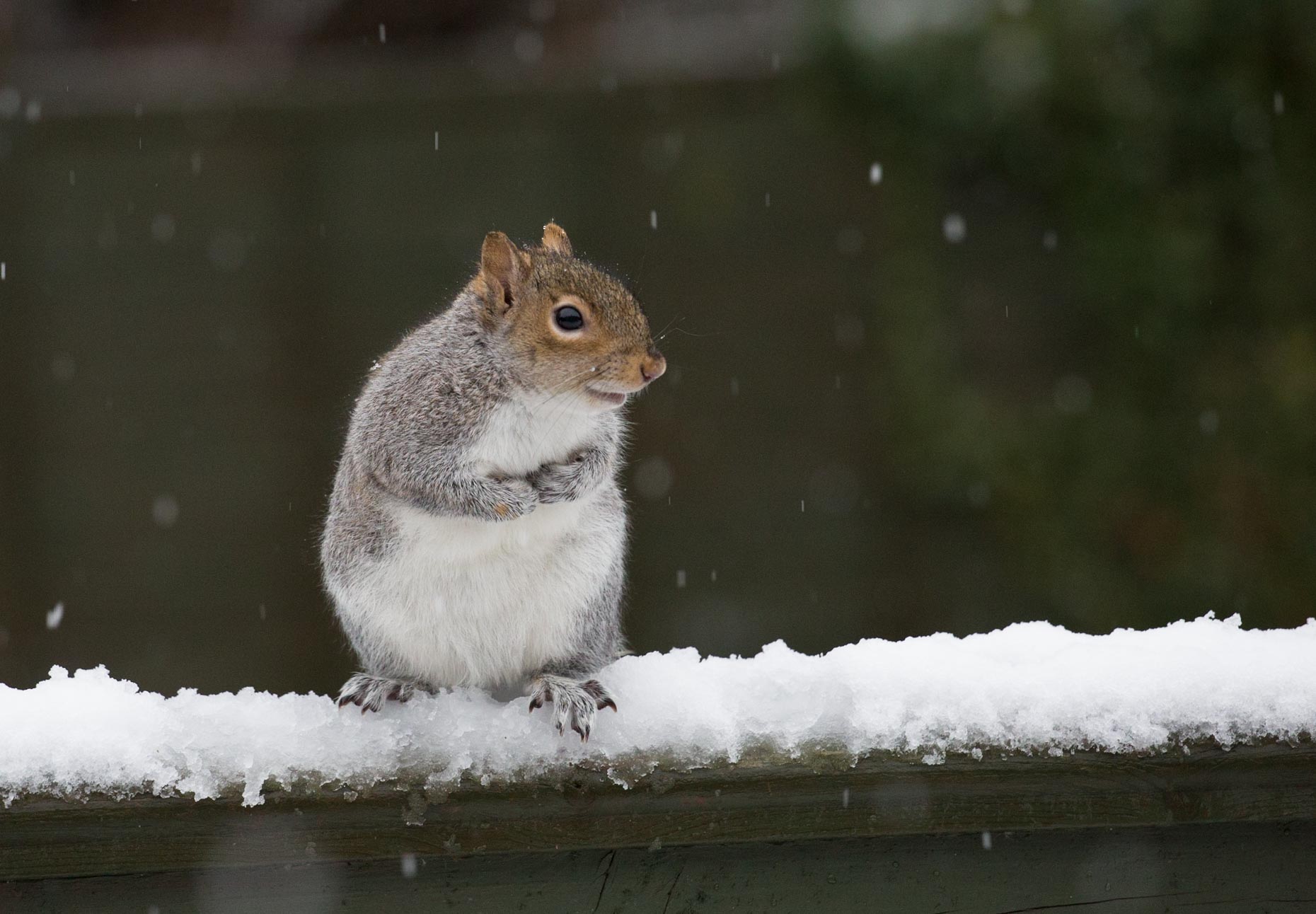 Mamma che freddo!!!!!!