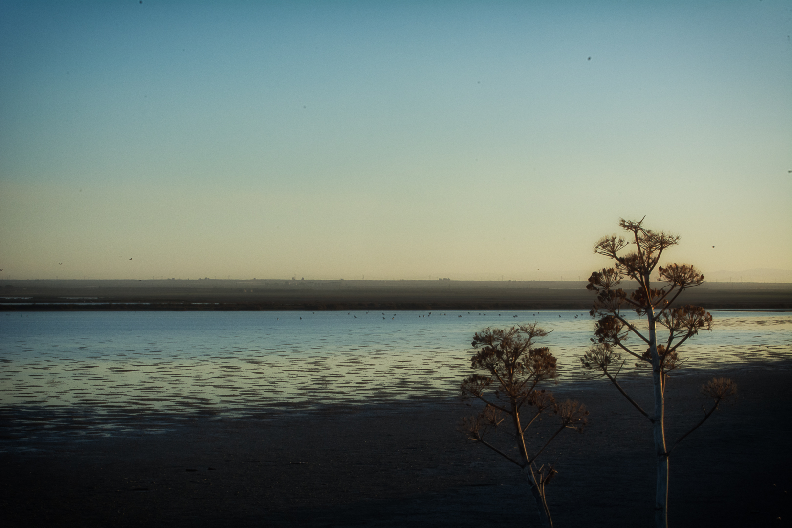 Sunset on the salt flats