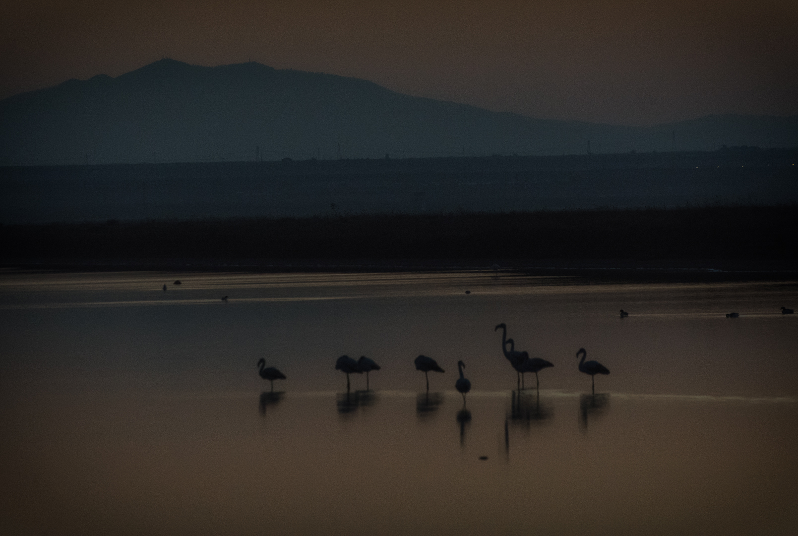 Sunset on the salt flats