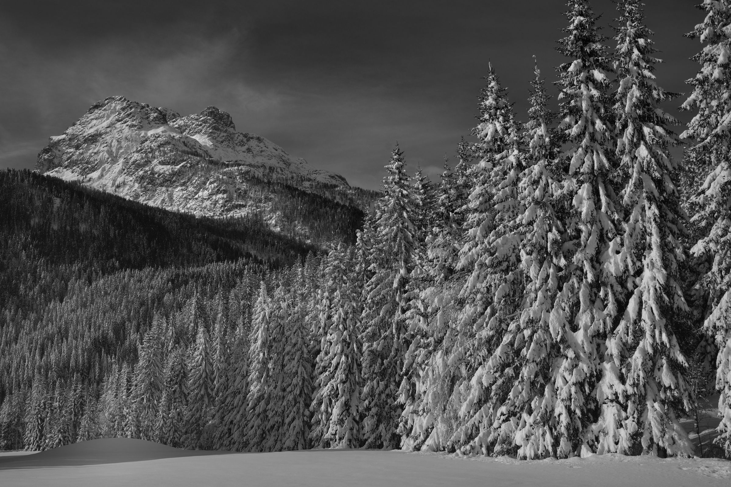 Third party group in Sappada