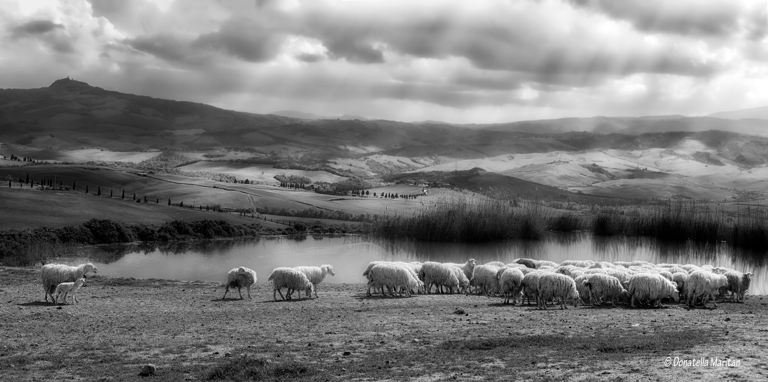 Bucolica D'Orcia