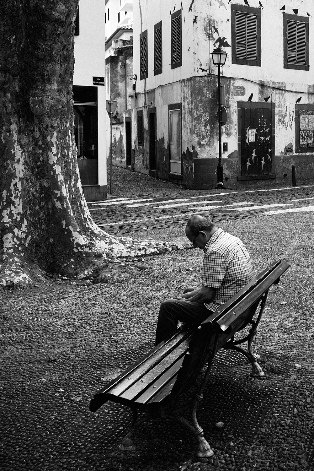 Thoughts ... - Madeira