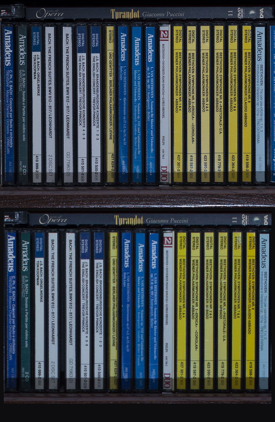 Confronto Fuji Canon