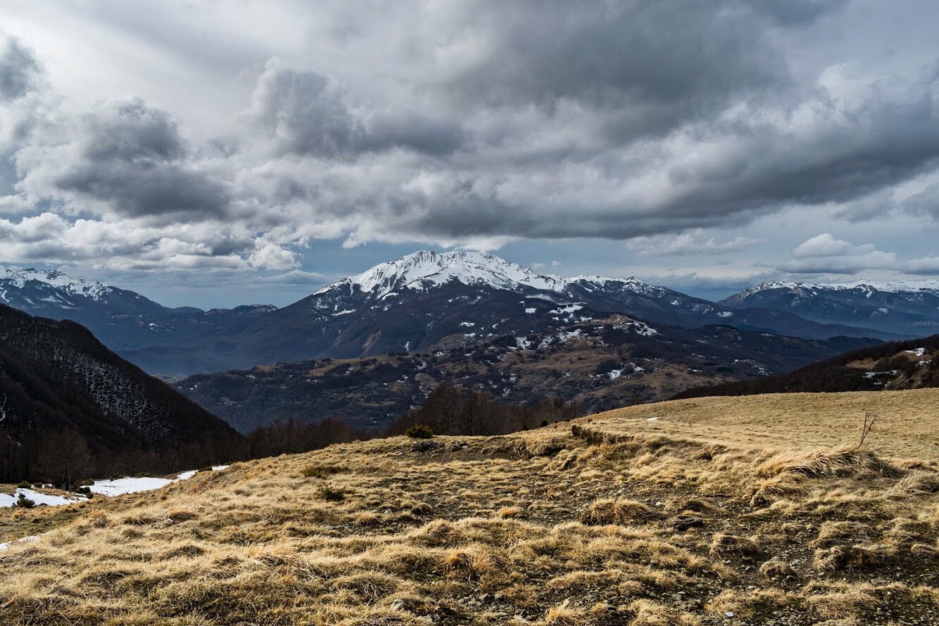 Vista sull'Alpe di Succiso