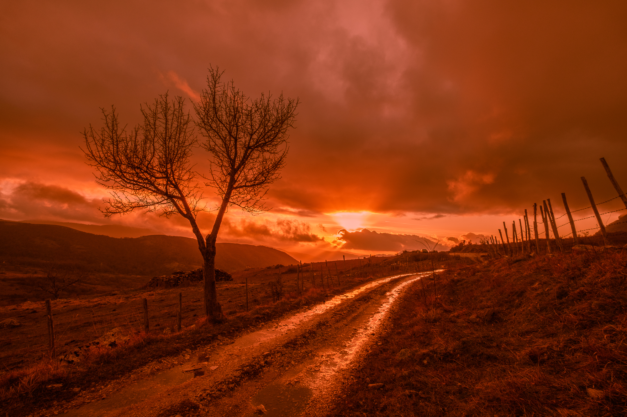 The Long and Winding Road