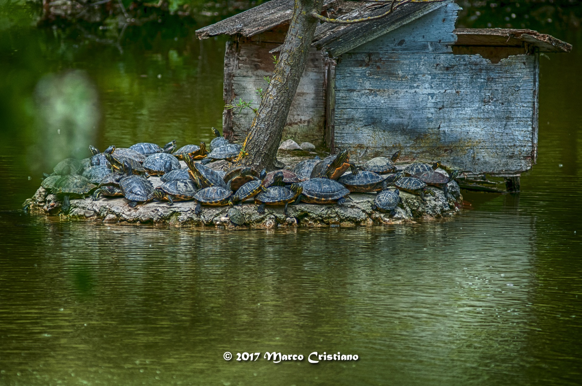 condominium meeting ..