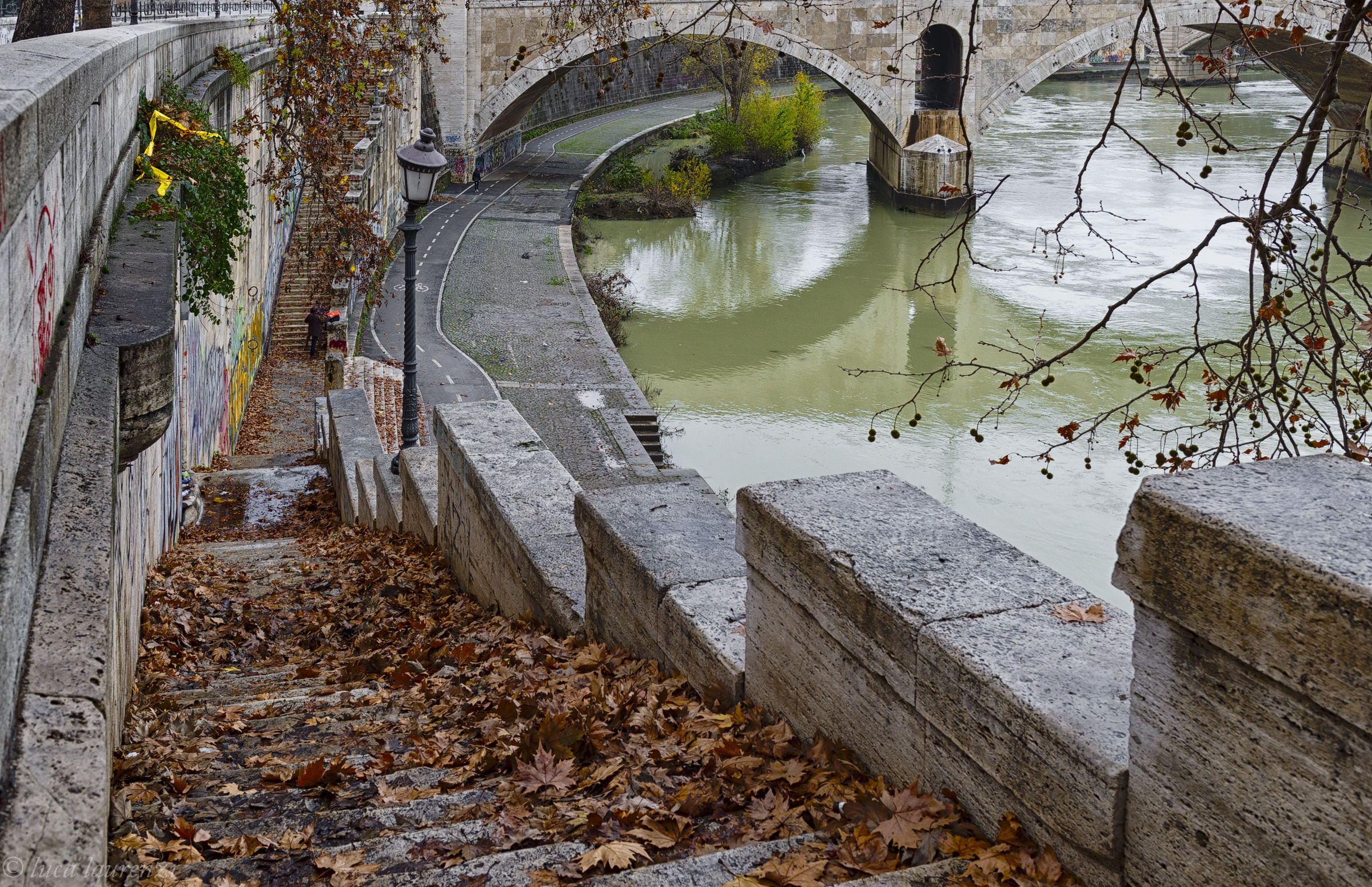 The leaves fall on the long tiber