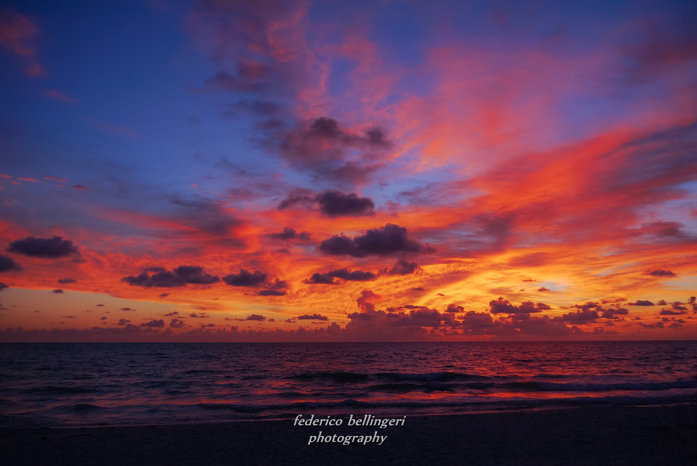 Monet ... in Florida