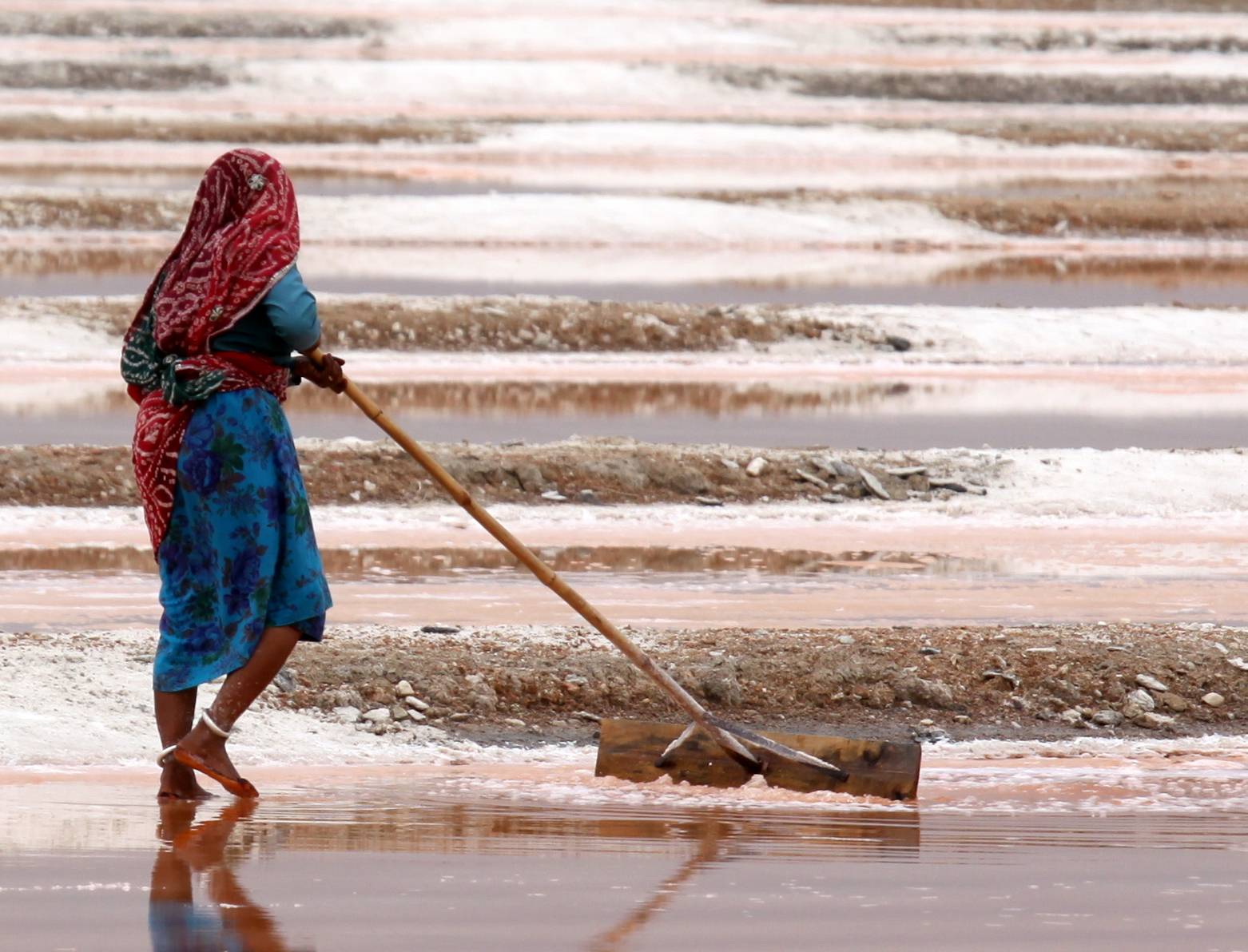 813-Saline Sambhar Salt Lake-Jaipur