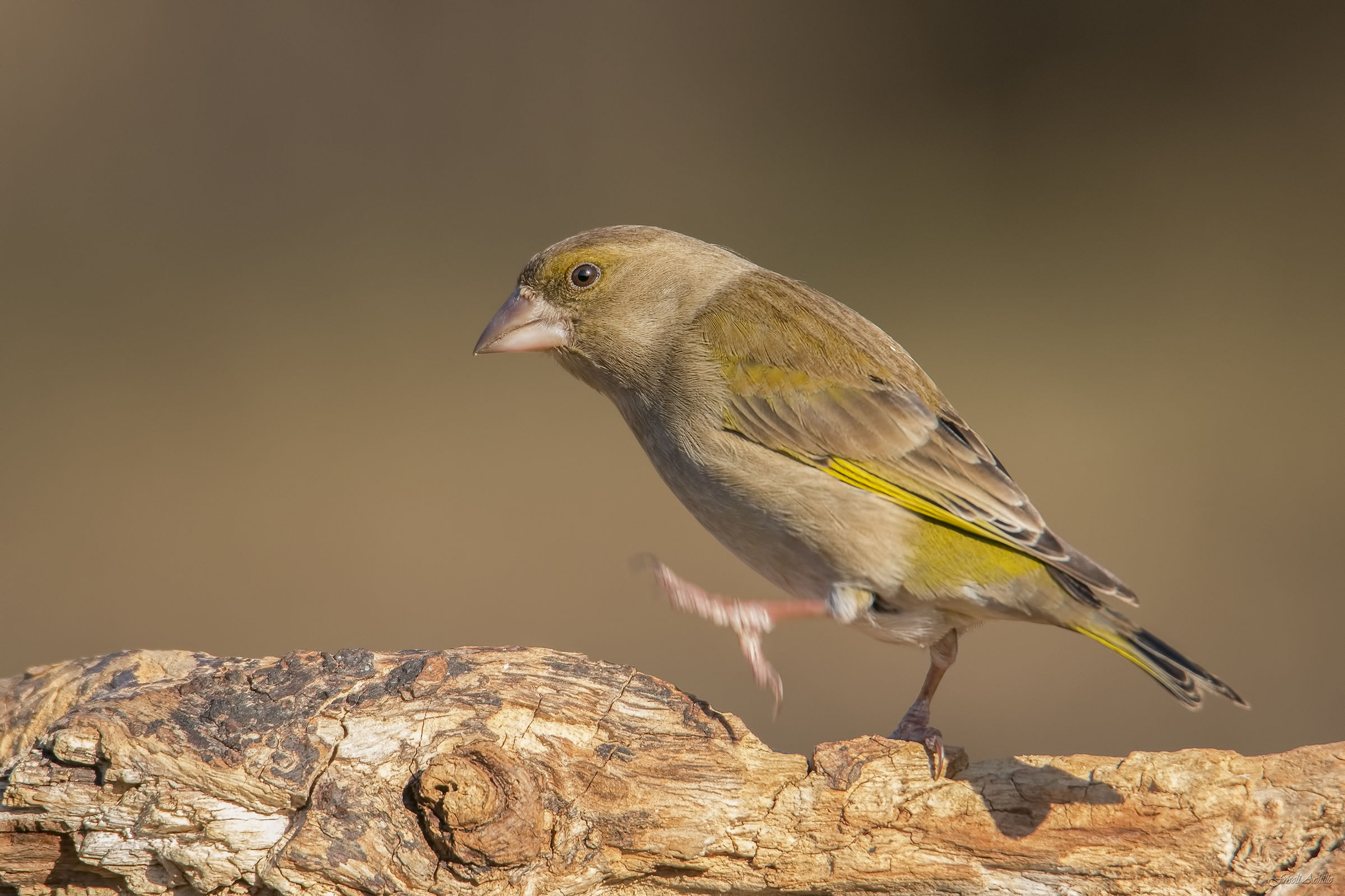 Greetings from Verdone .........