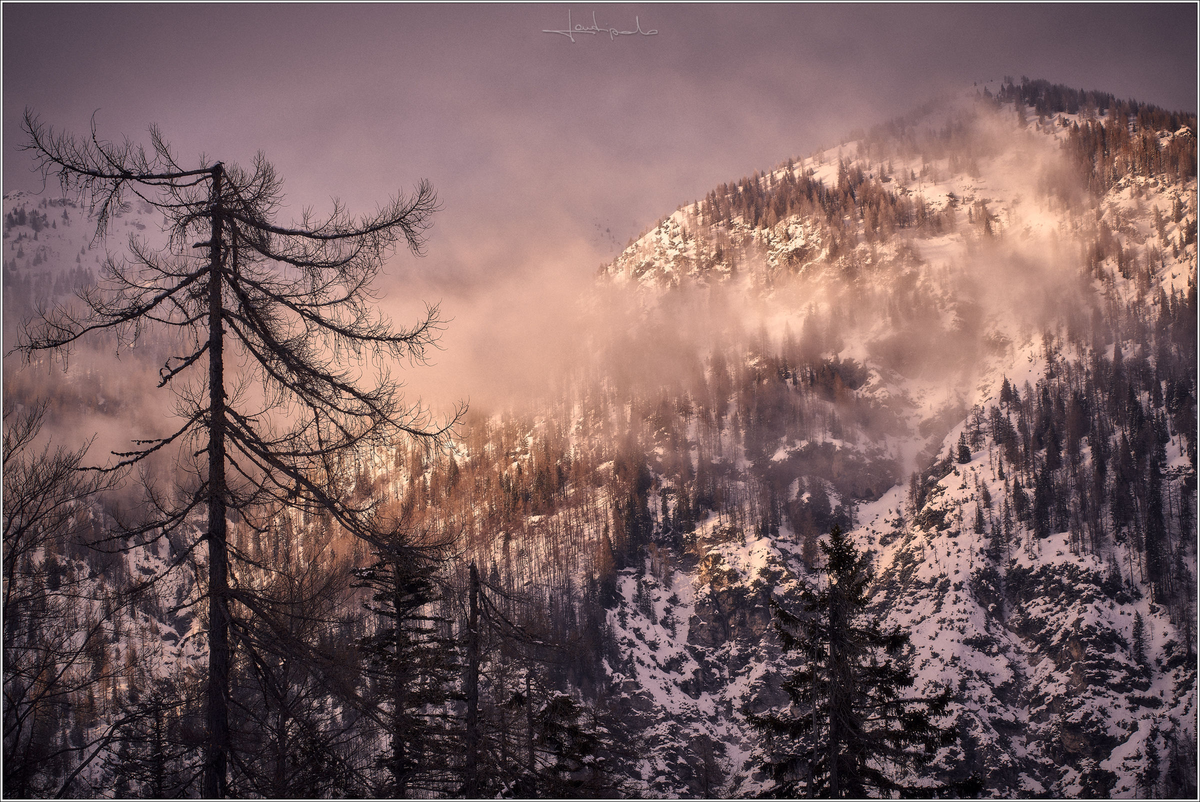 Salendo verso il rifugio Grego!