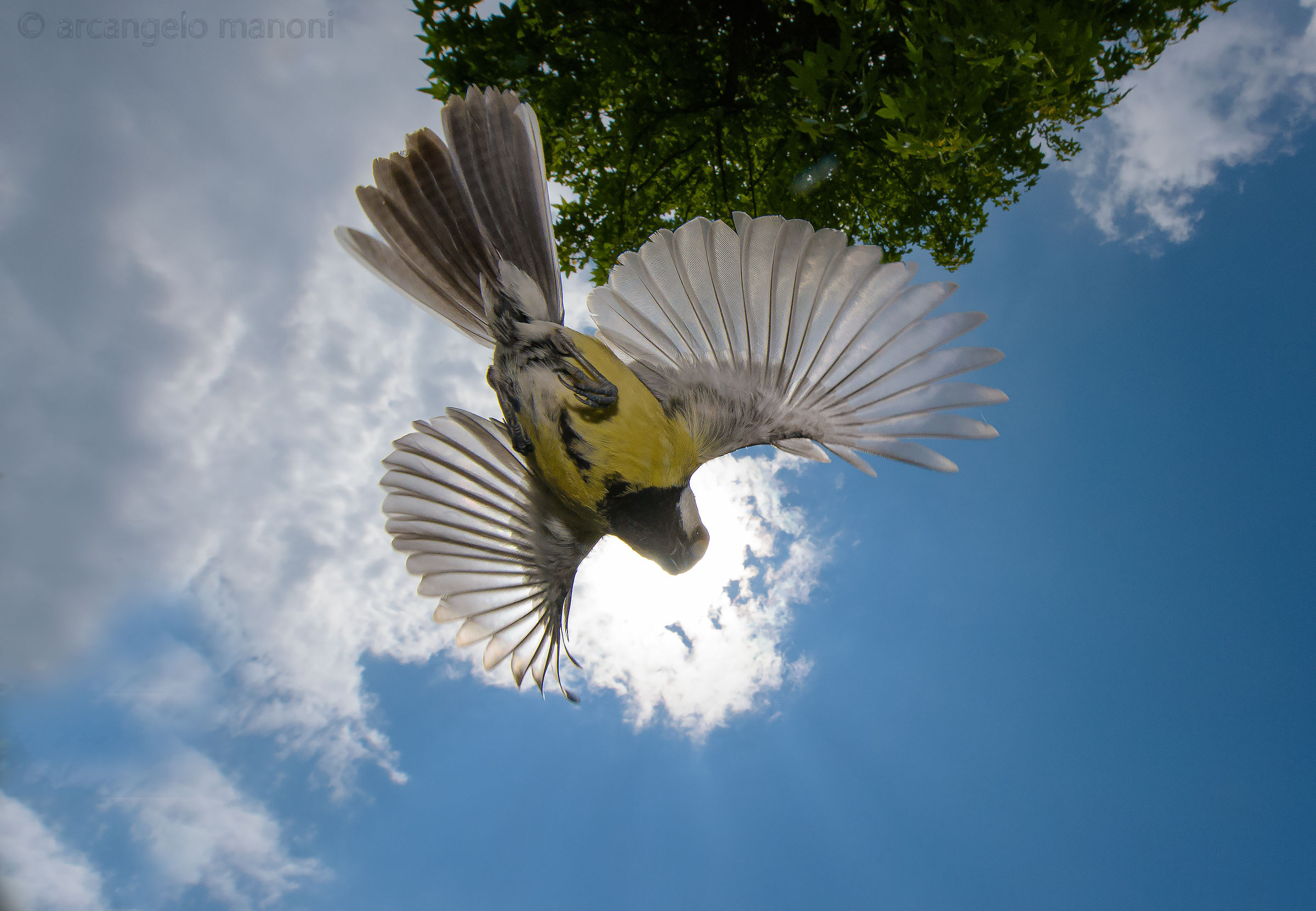 She ... and ... the sky above me