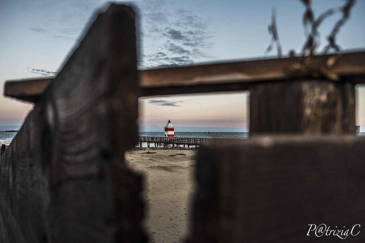 ...spiando fra i frangivento ...