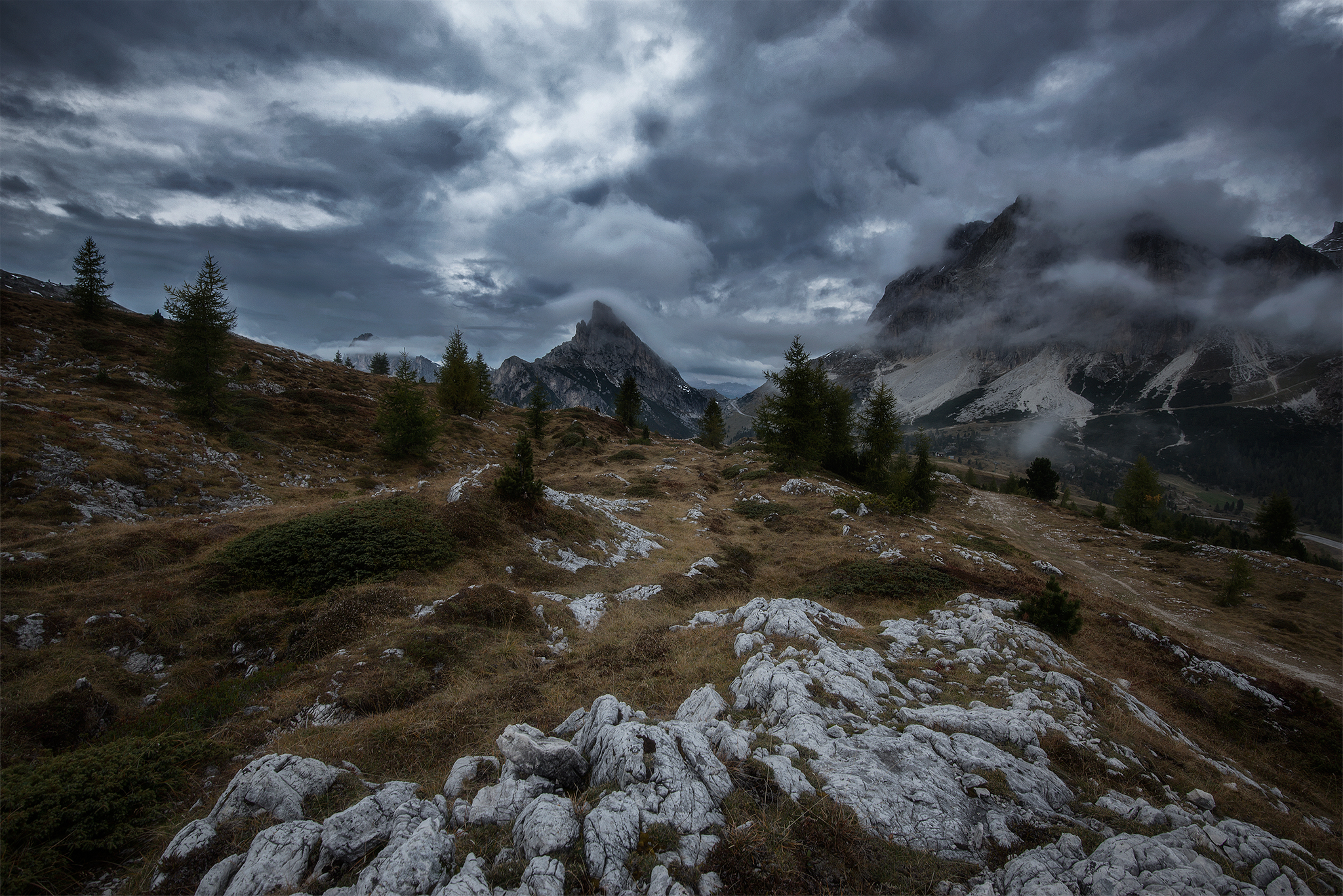 The dark side of Limedes