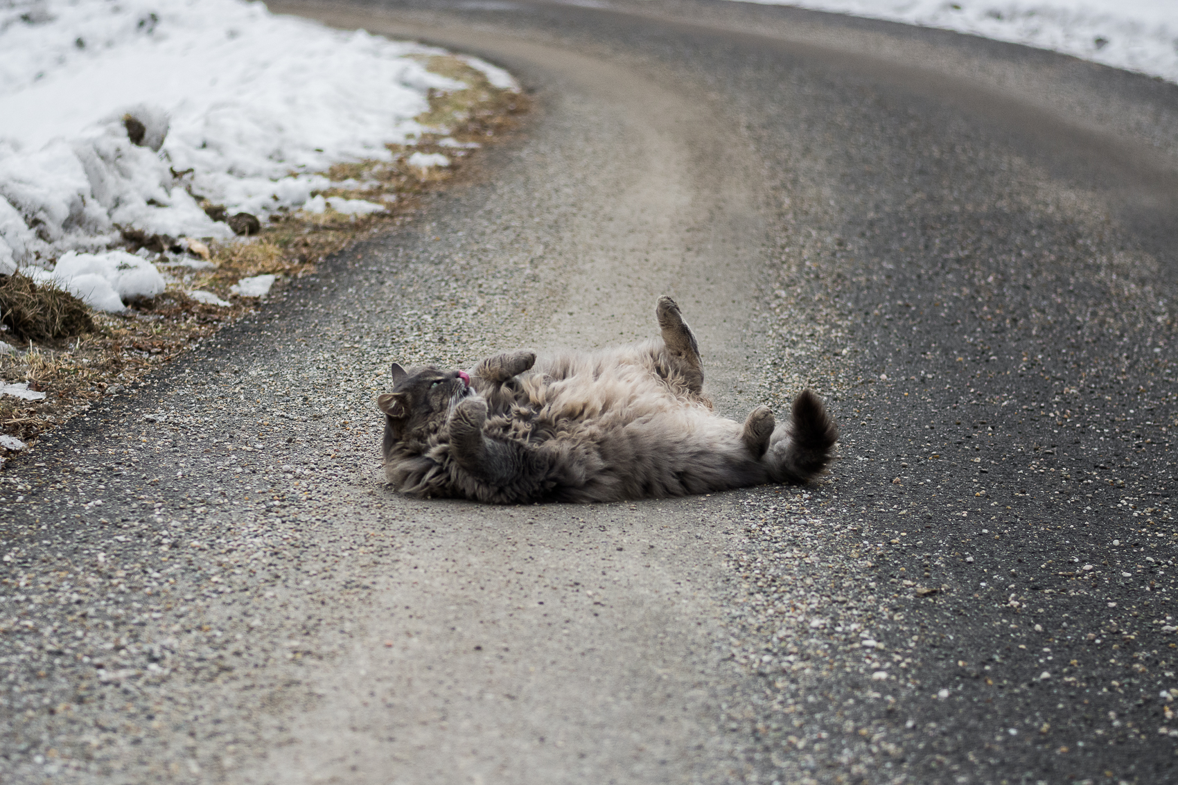 It's better if you get married from there