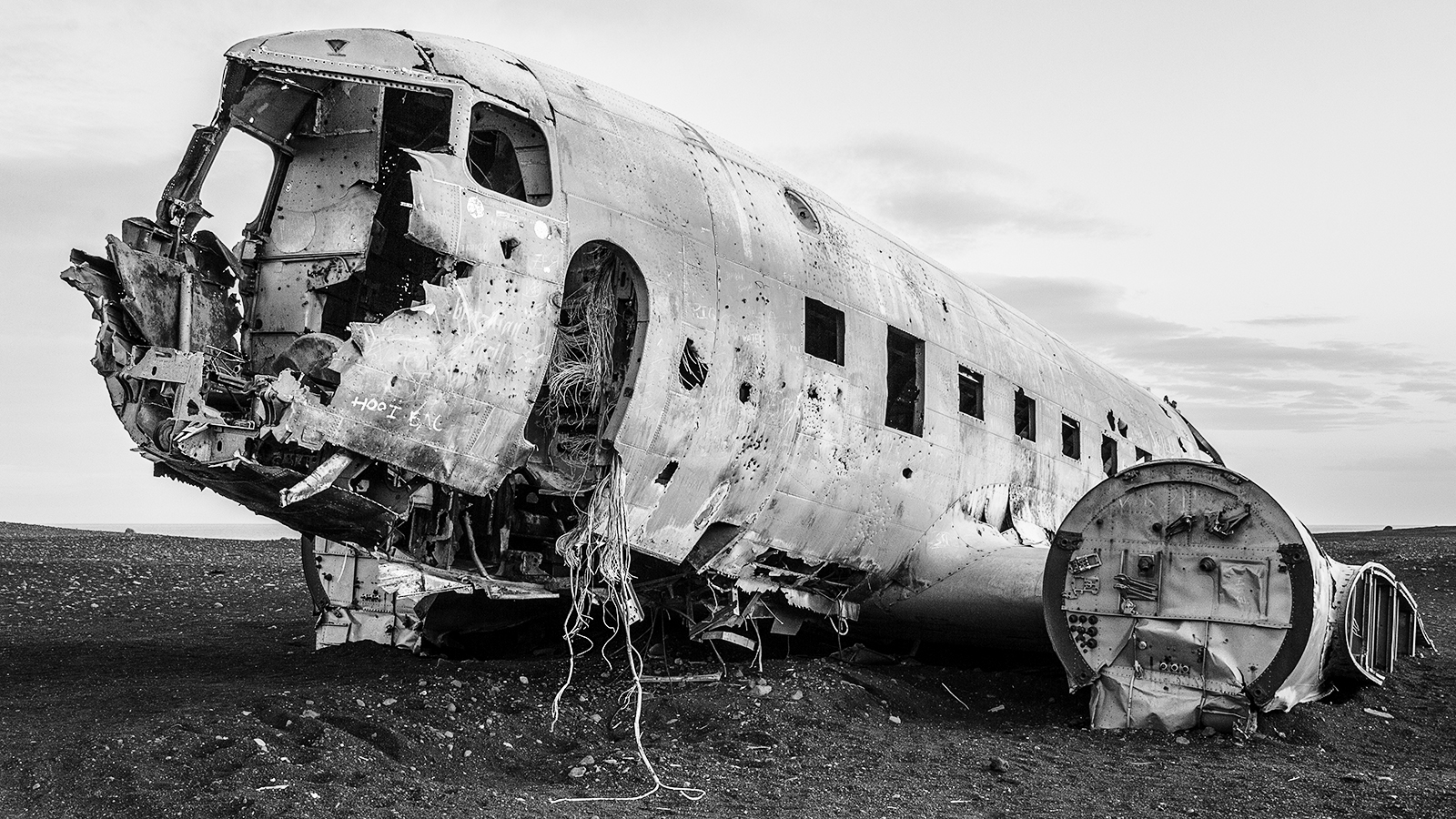 The American Carcass