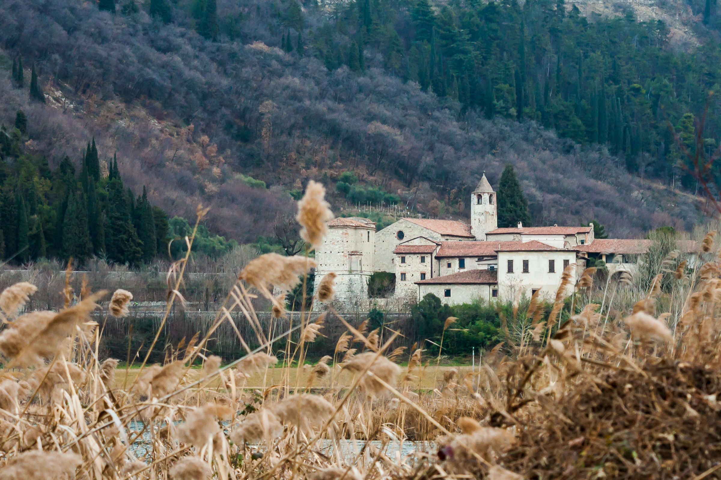 Monastero di San Pietro in Lamosa