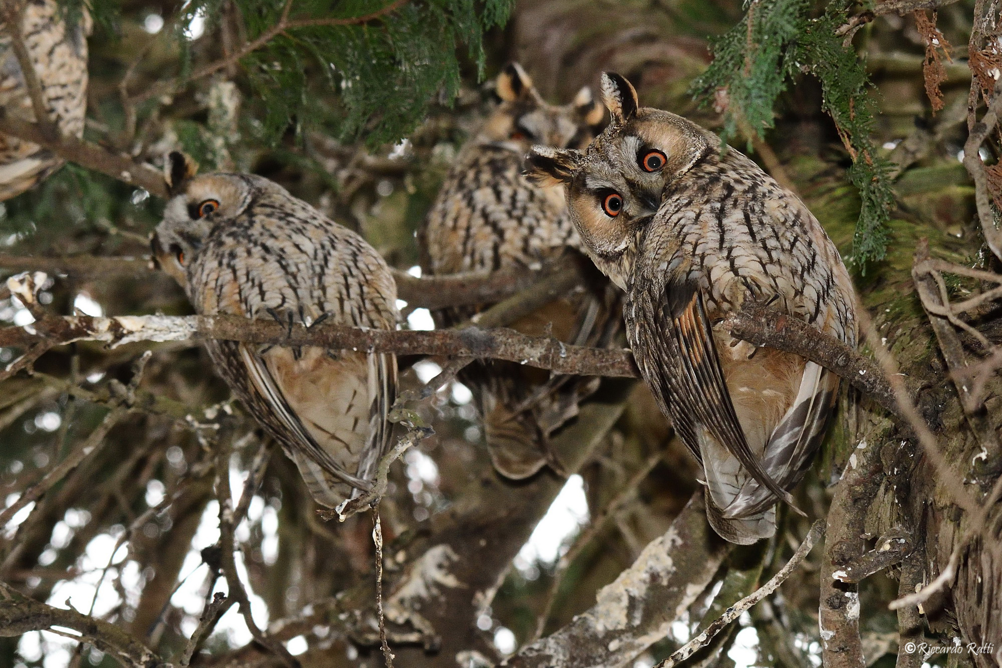 The family gathered.
