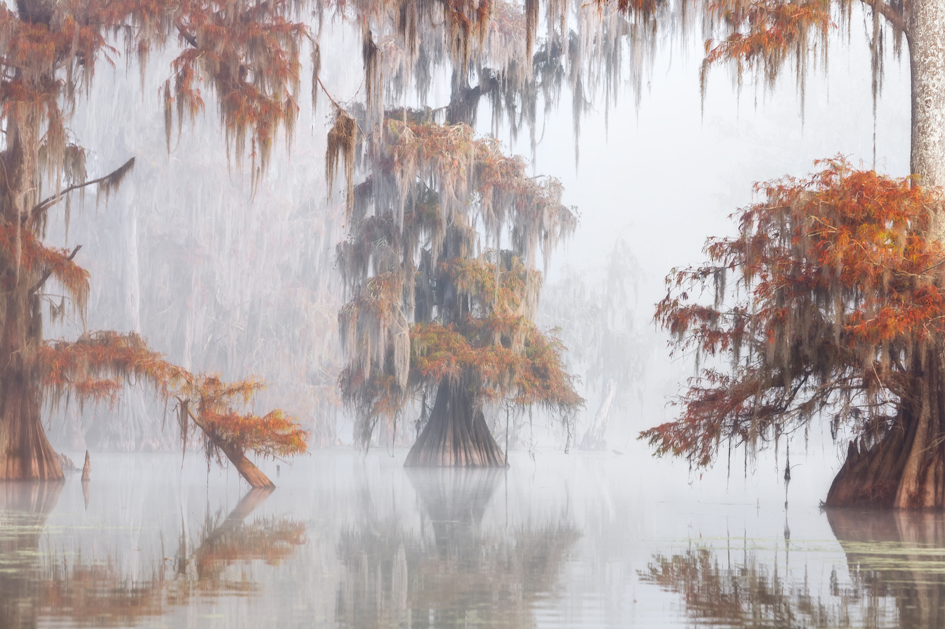 Misty Bayou